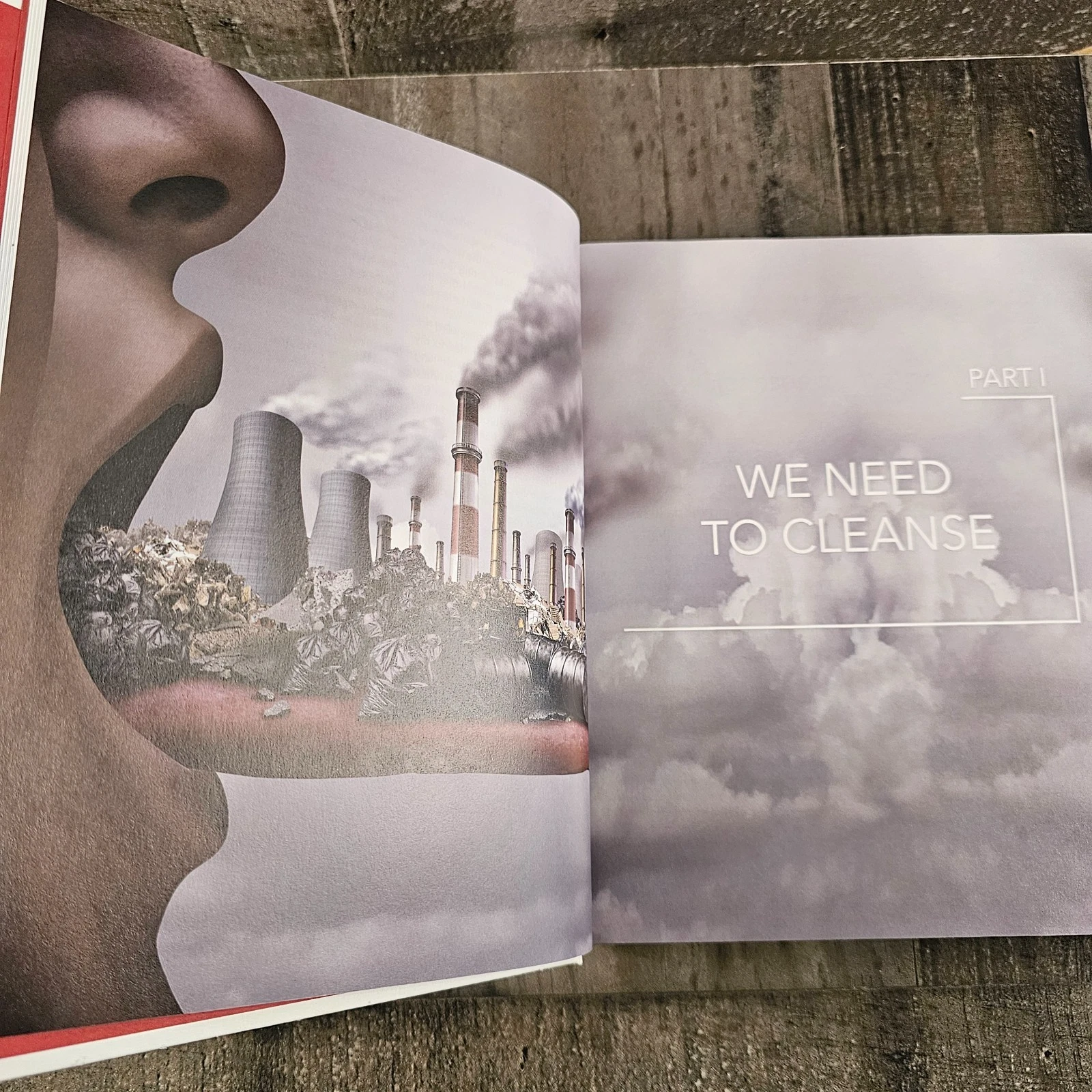 MEDICAL MEDIUM CLEANSE TO HEAL: HEALING PLANS FOR SUFFERERS OF ANXIETY, DEPRESSION, ACNE, ECZEMA, LYME, GUT PROBLEMS, Lyme, BRAIN FOG, WEIGHT ISSUES, MIGRAINES, BLOATING, VERTIGO, AND PSORIASIS BY ANTHONY WILLIAM