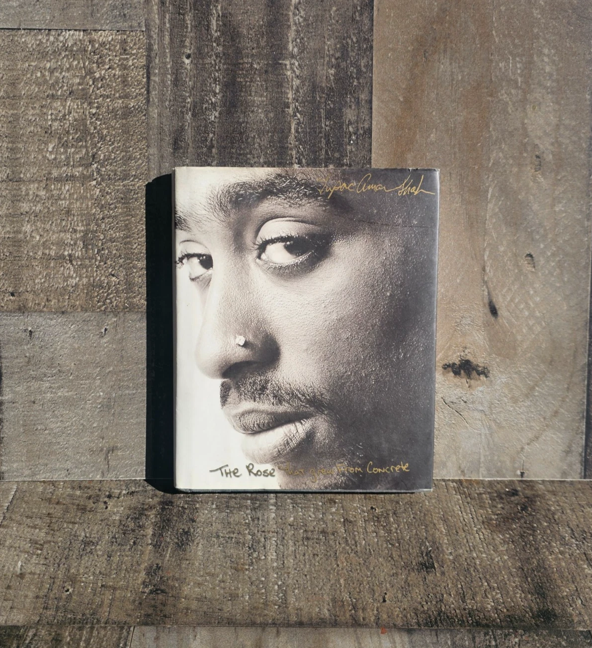 THE ROSE THAT GREW FROM CONCRETE BY TUPAC SHAKUR