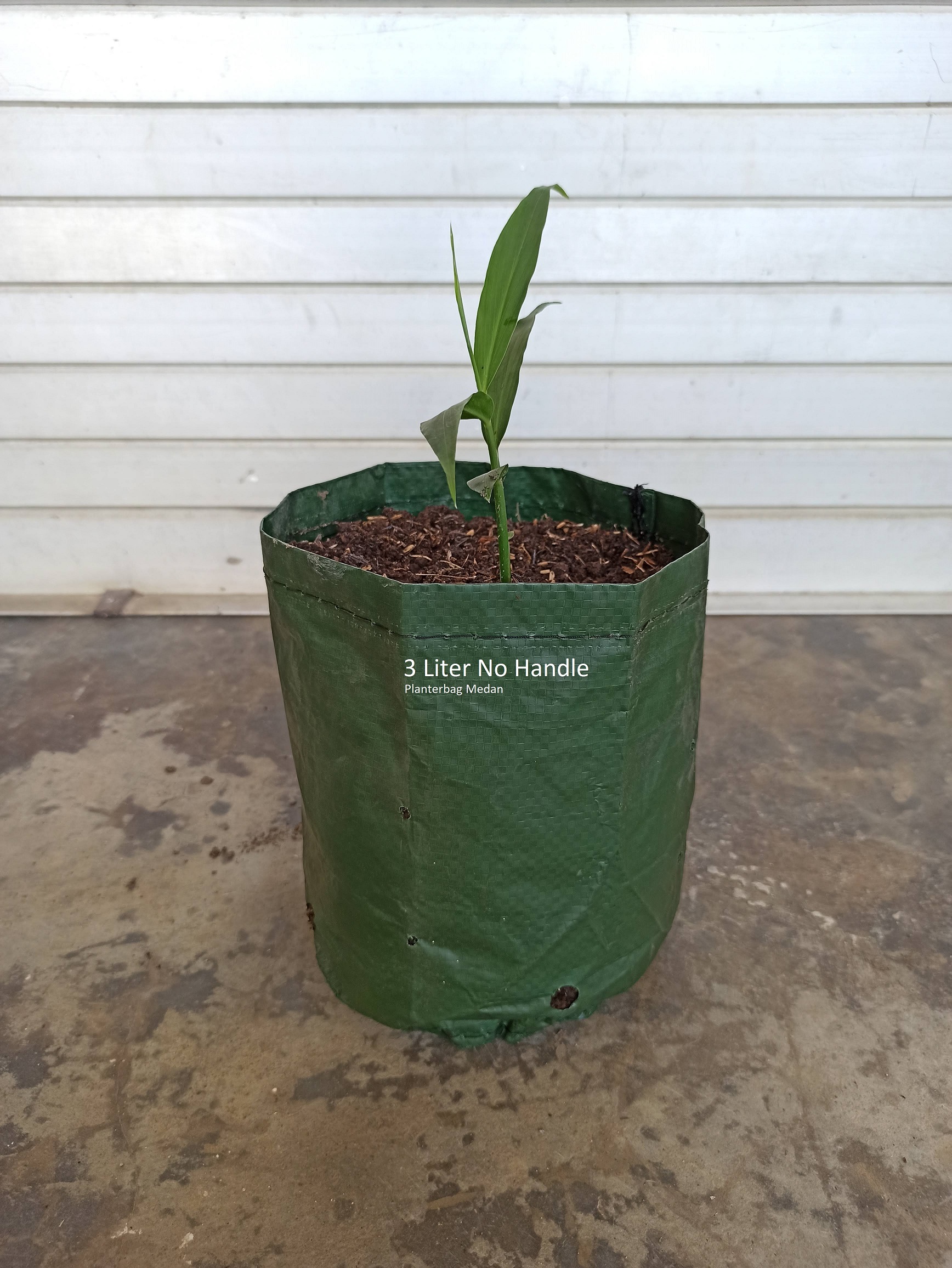 Planterbag 3 Liter