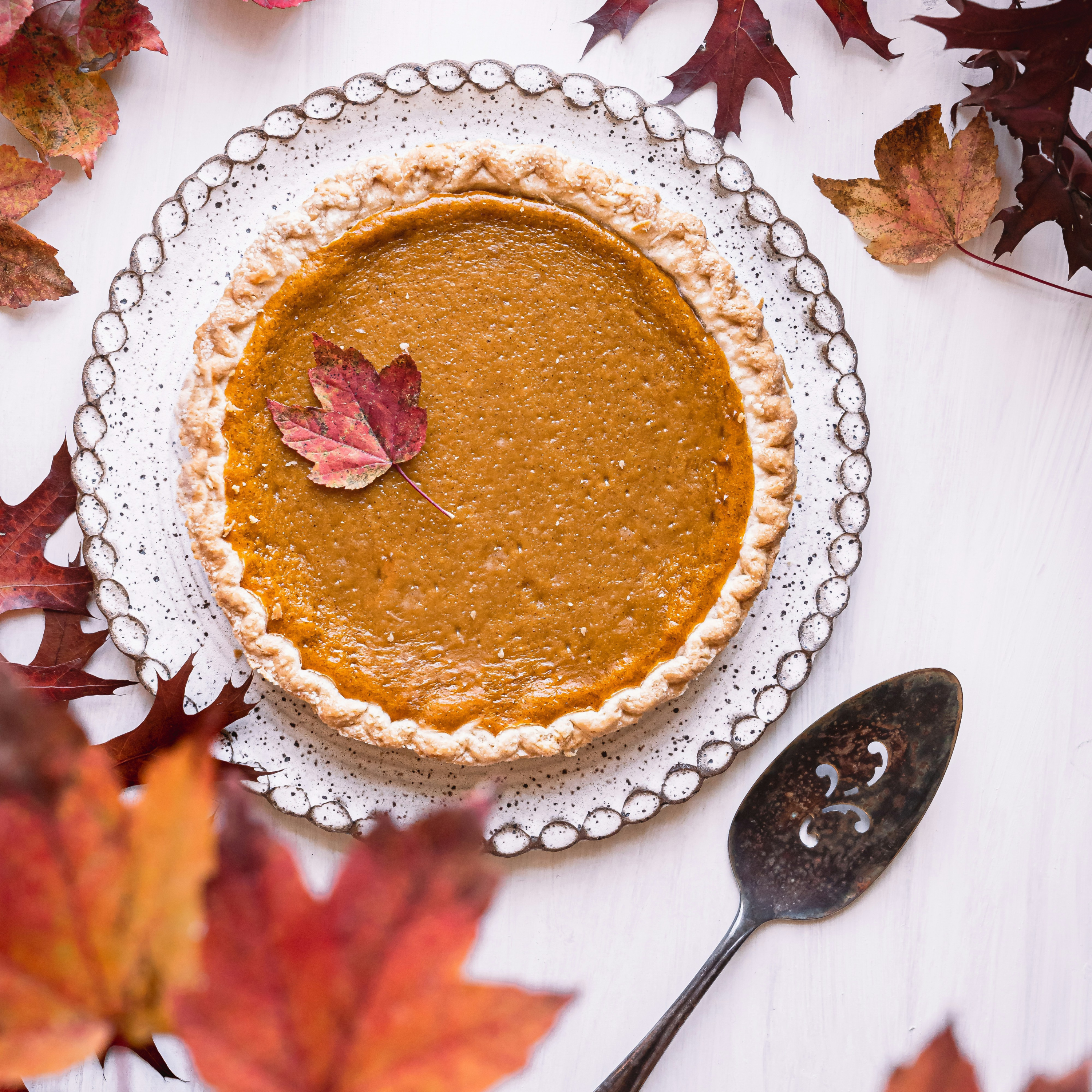 Pumpkin Pie - Quick & Easy Recipe