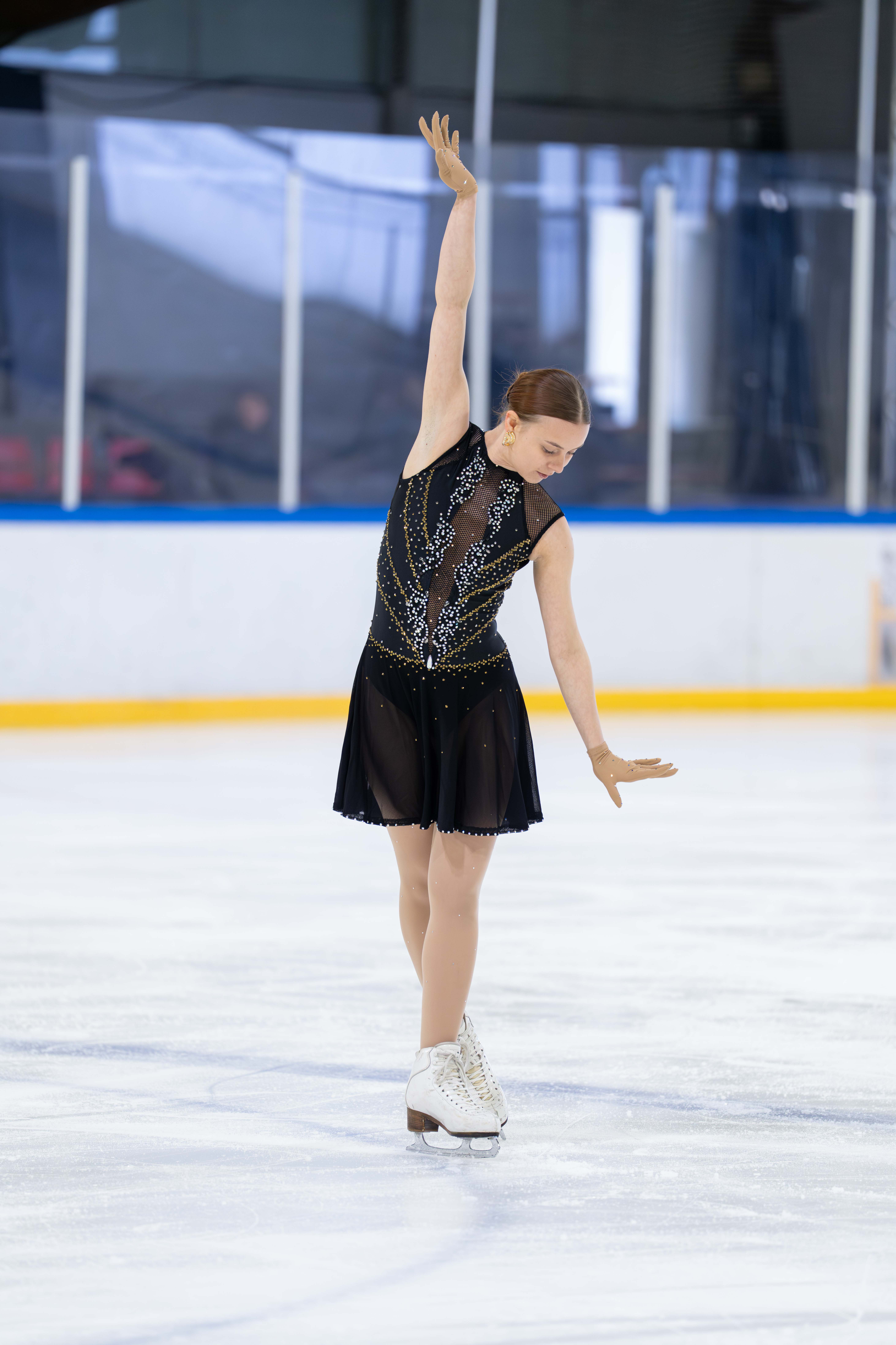Coupe des druides