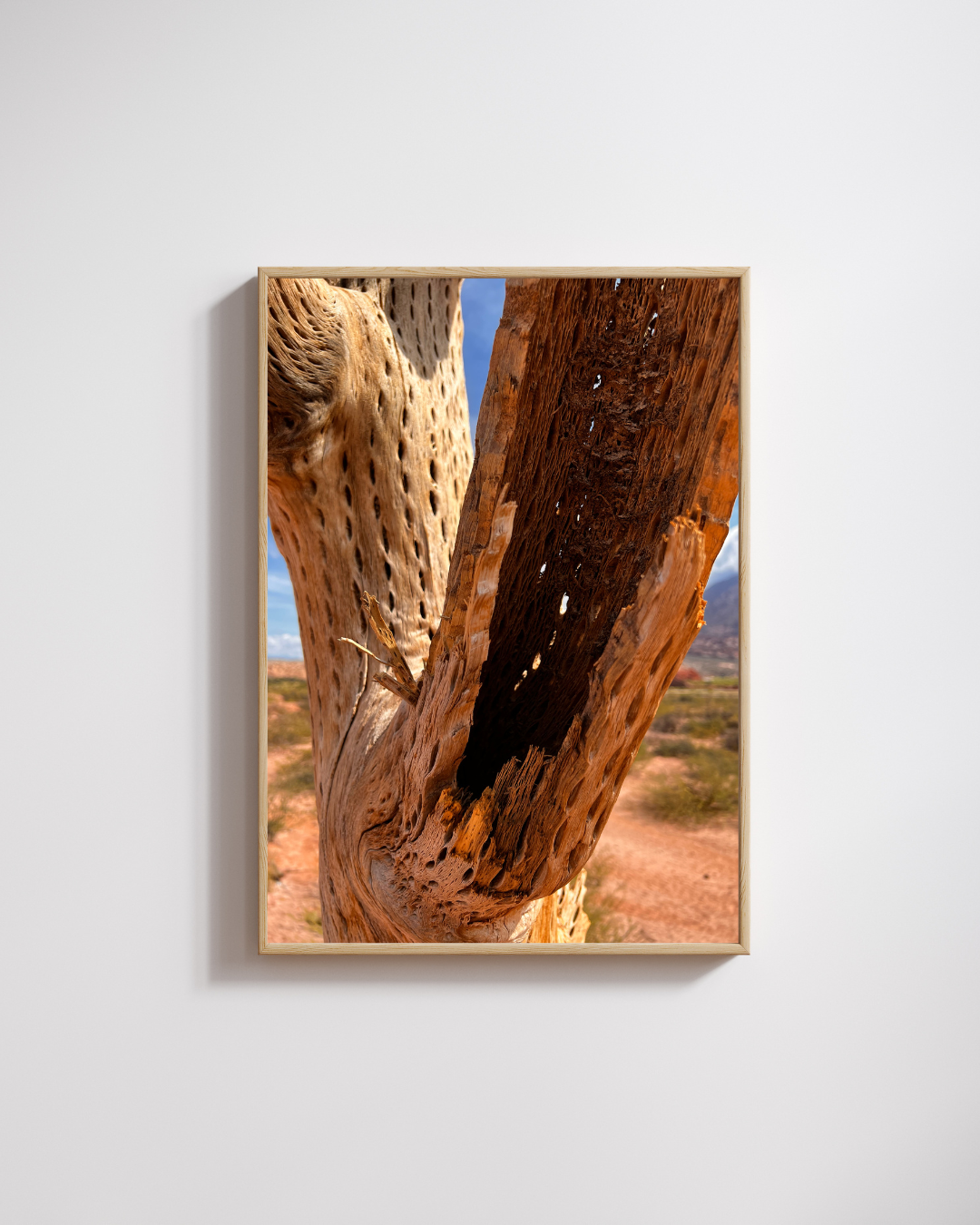 Desert Cactus Skeleton Art Print