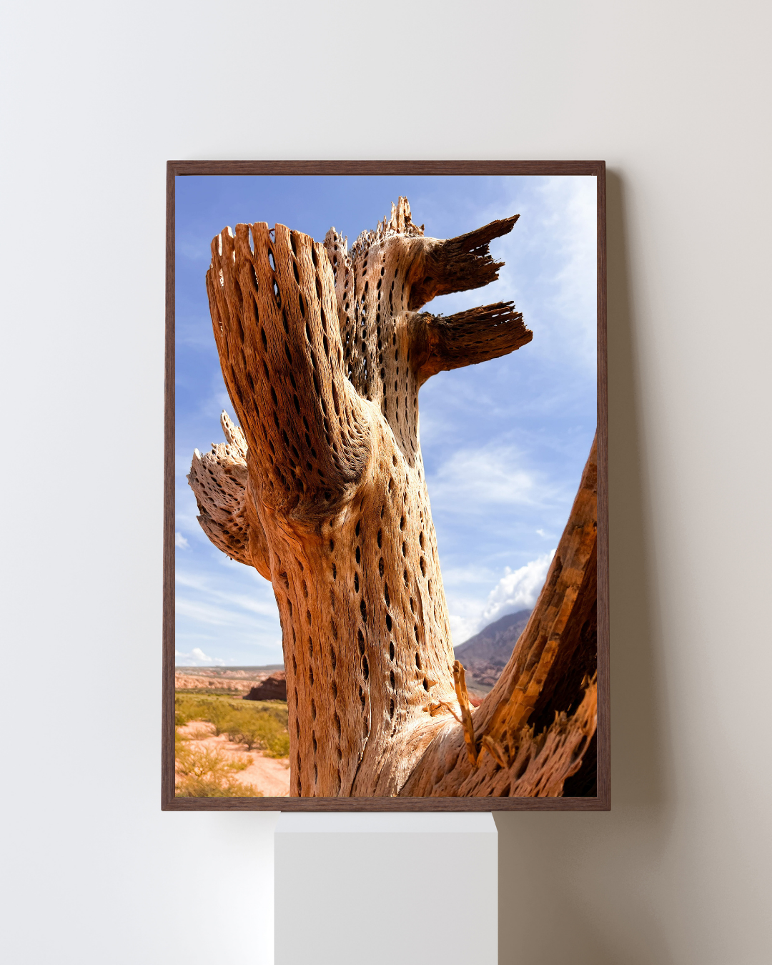 Desert Cactus Skeleton Art Print