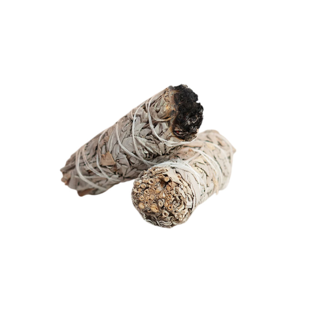 Sahumerio de salvia blanca