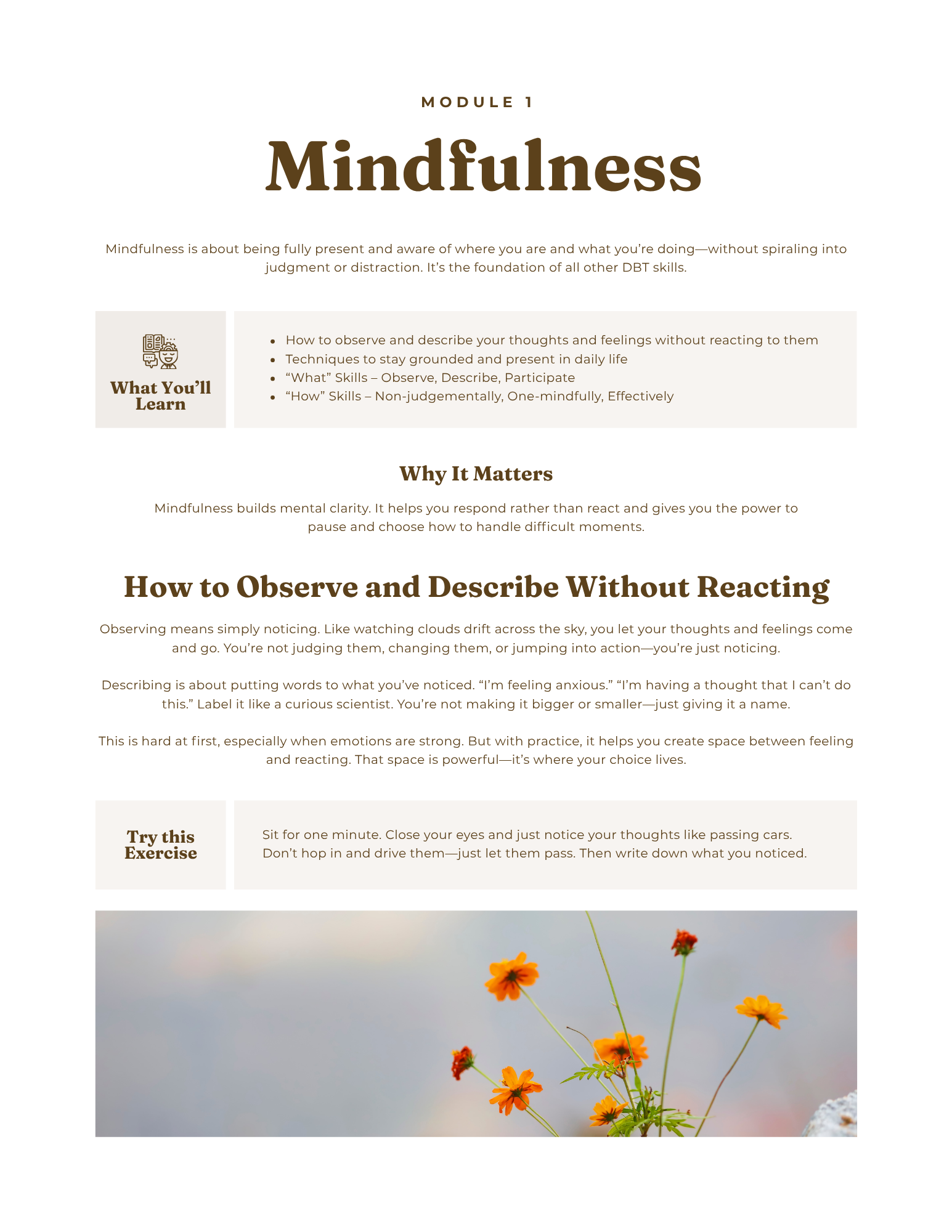 DBT Workbook for Adults