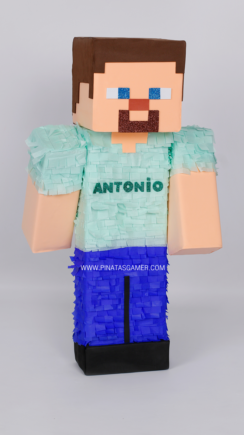 Steve Minecraft