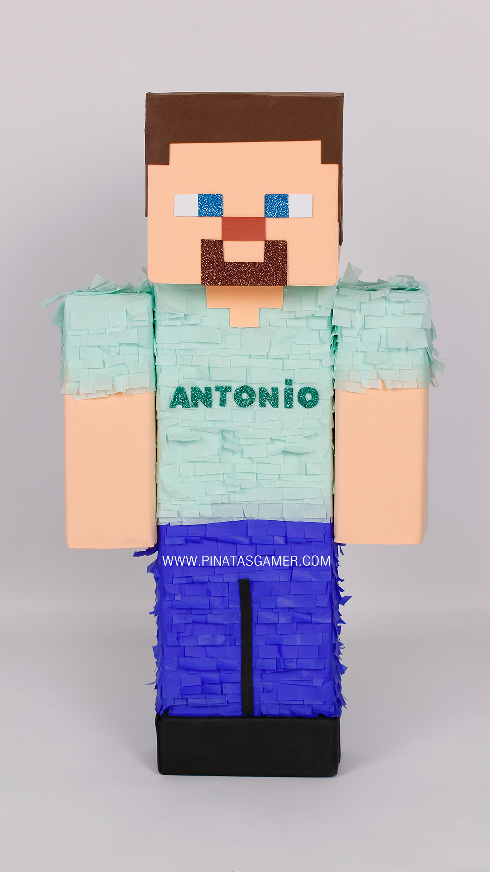 Steve Minecraft