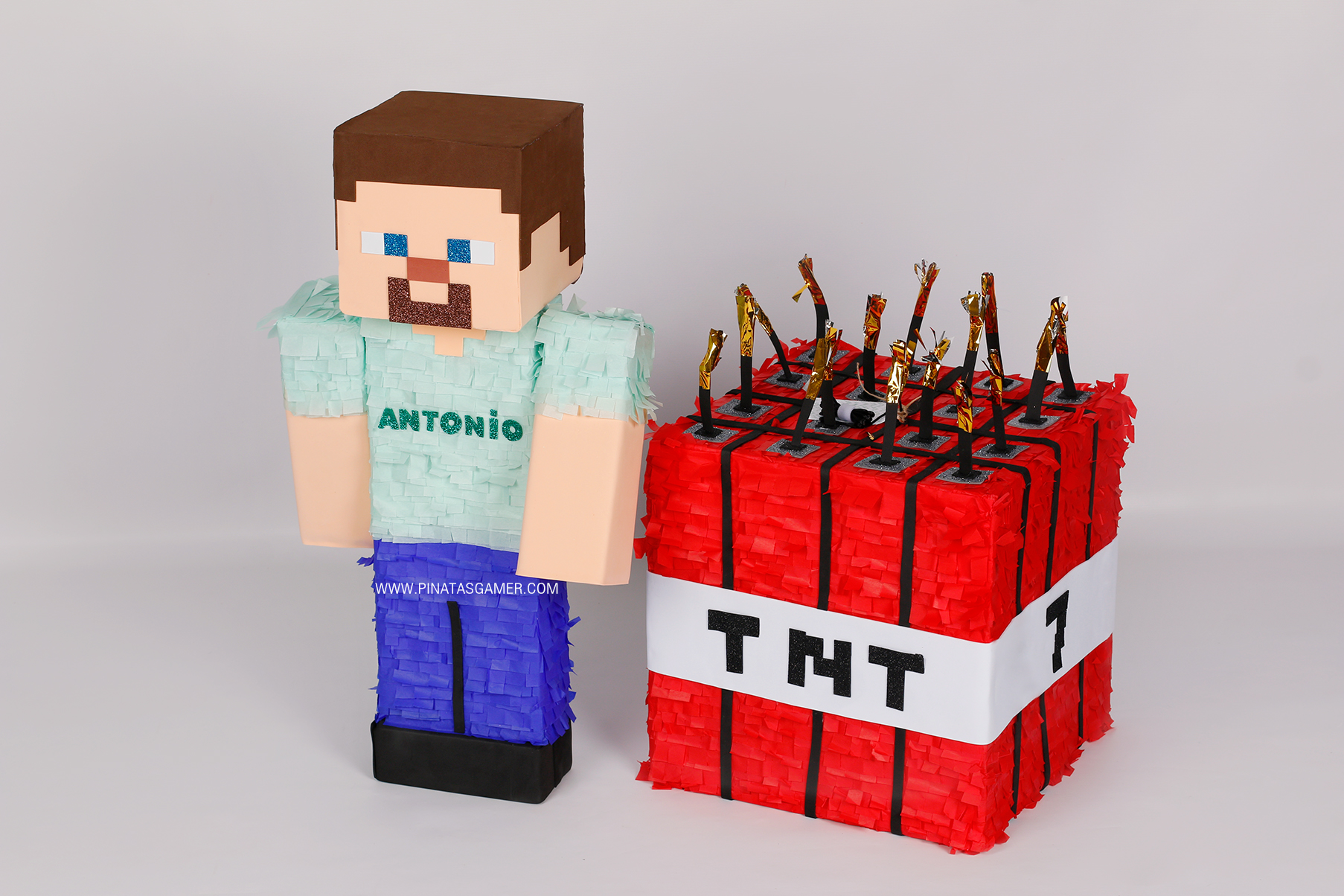 Steve Minecraft
