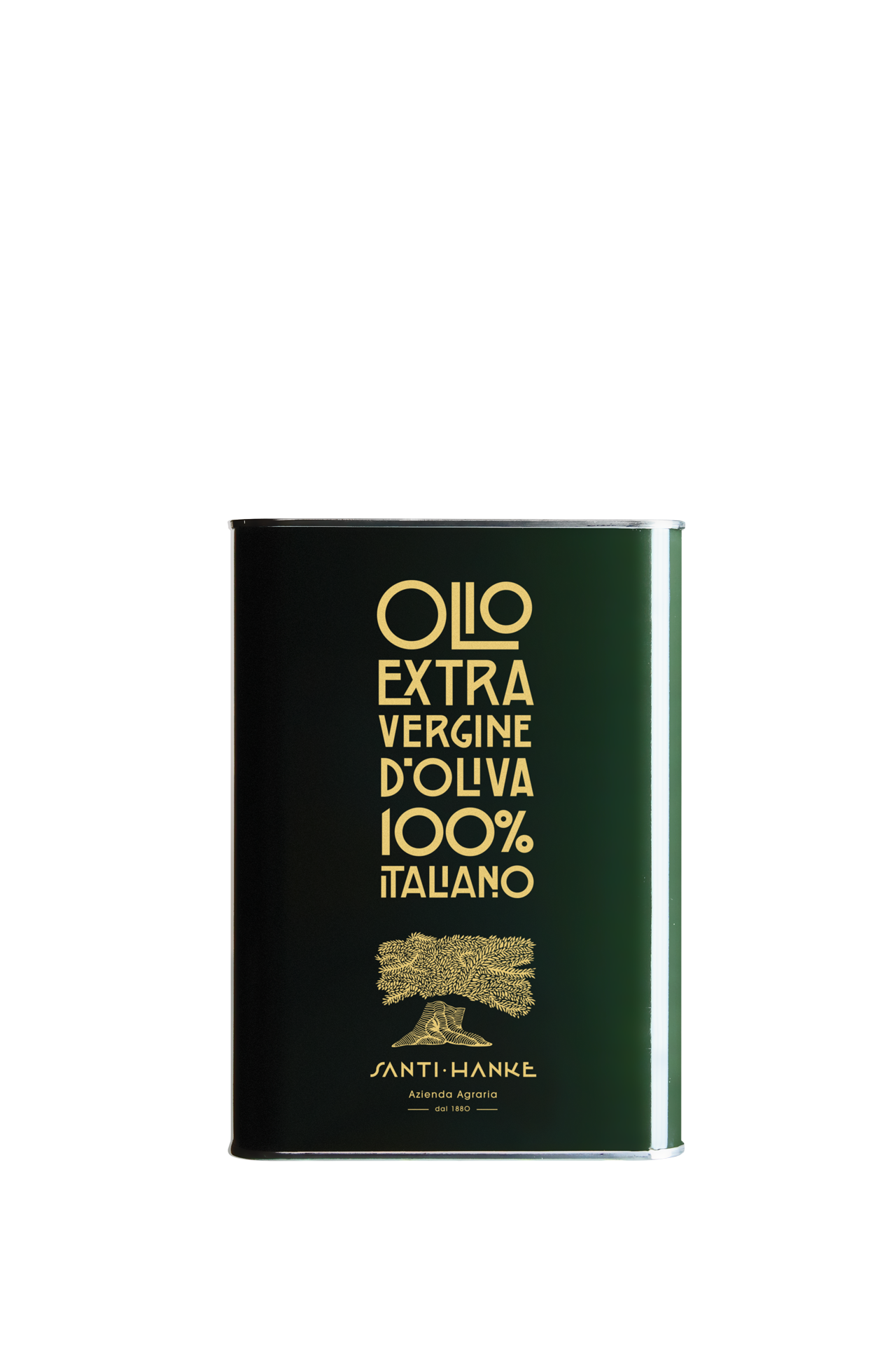 Olio Extravergine di oliva 100% Italiano - Lattina 3 L