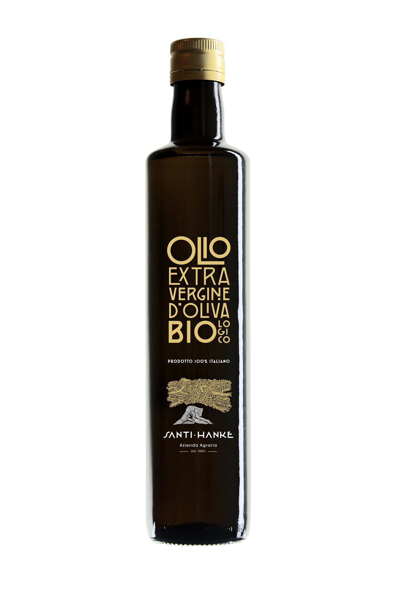 Olio Extra Vergine D'Oliva Bio - 6 Bottiglie vetro scuro 0,500 L