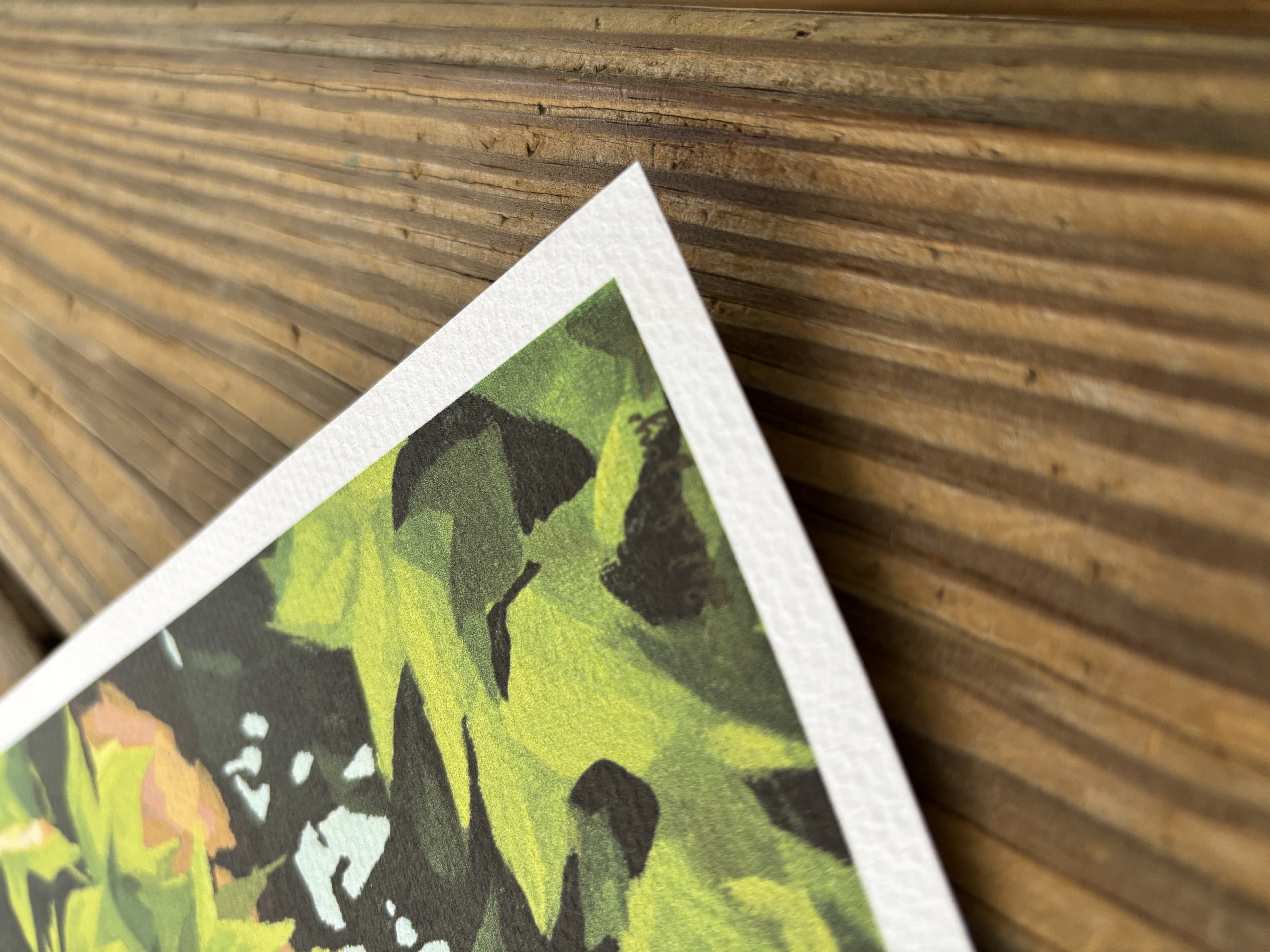"Summer Leaves" Print