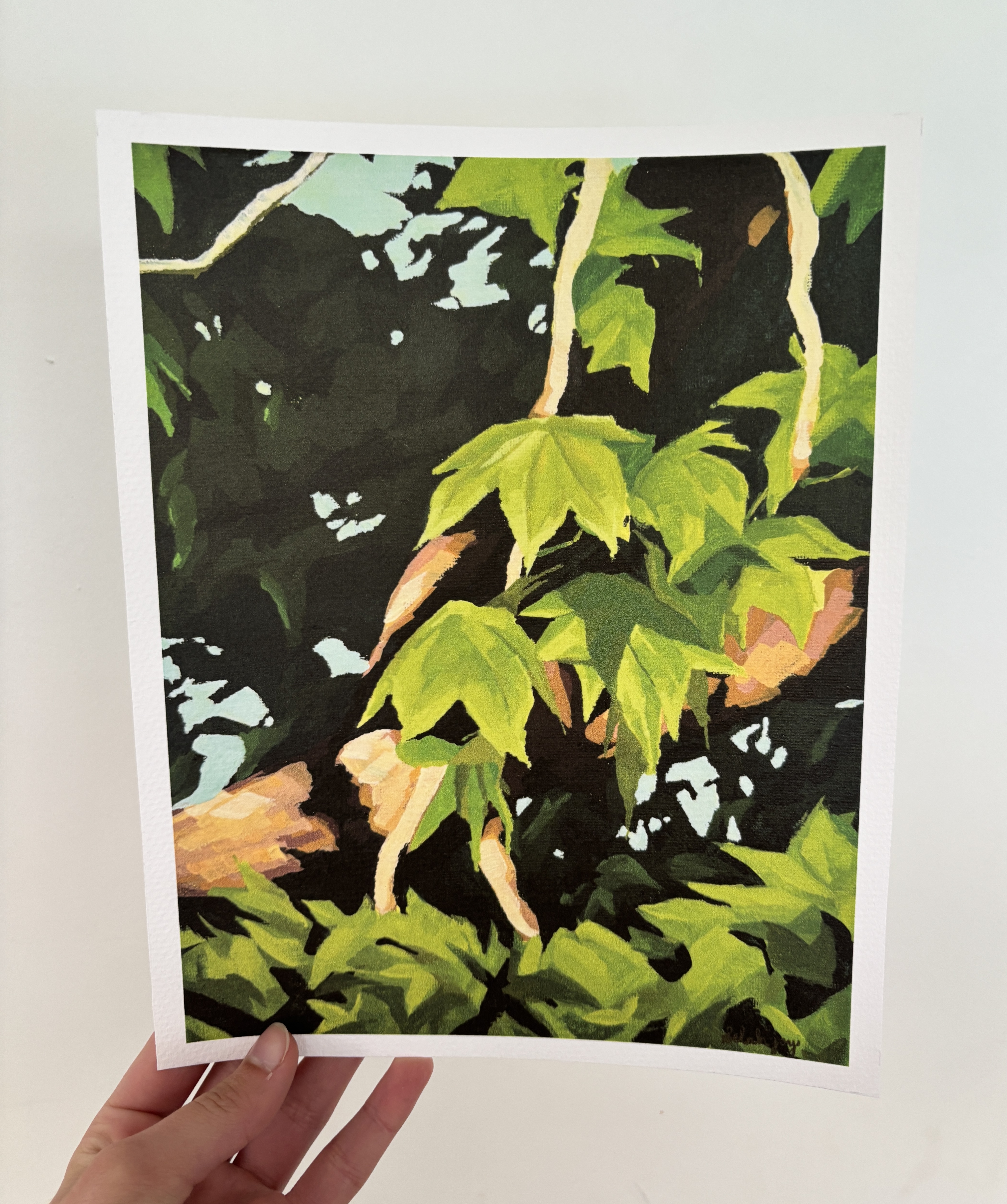 "Summer Leaves" Print