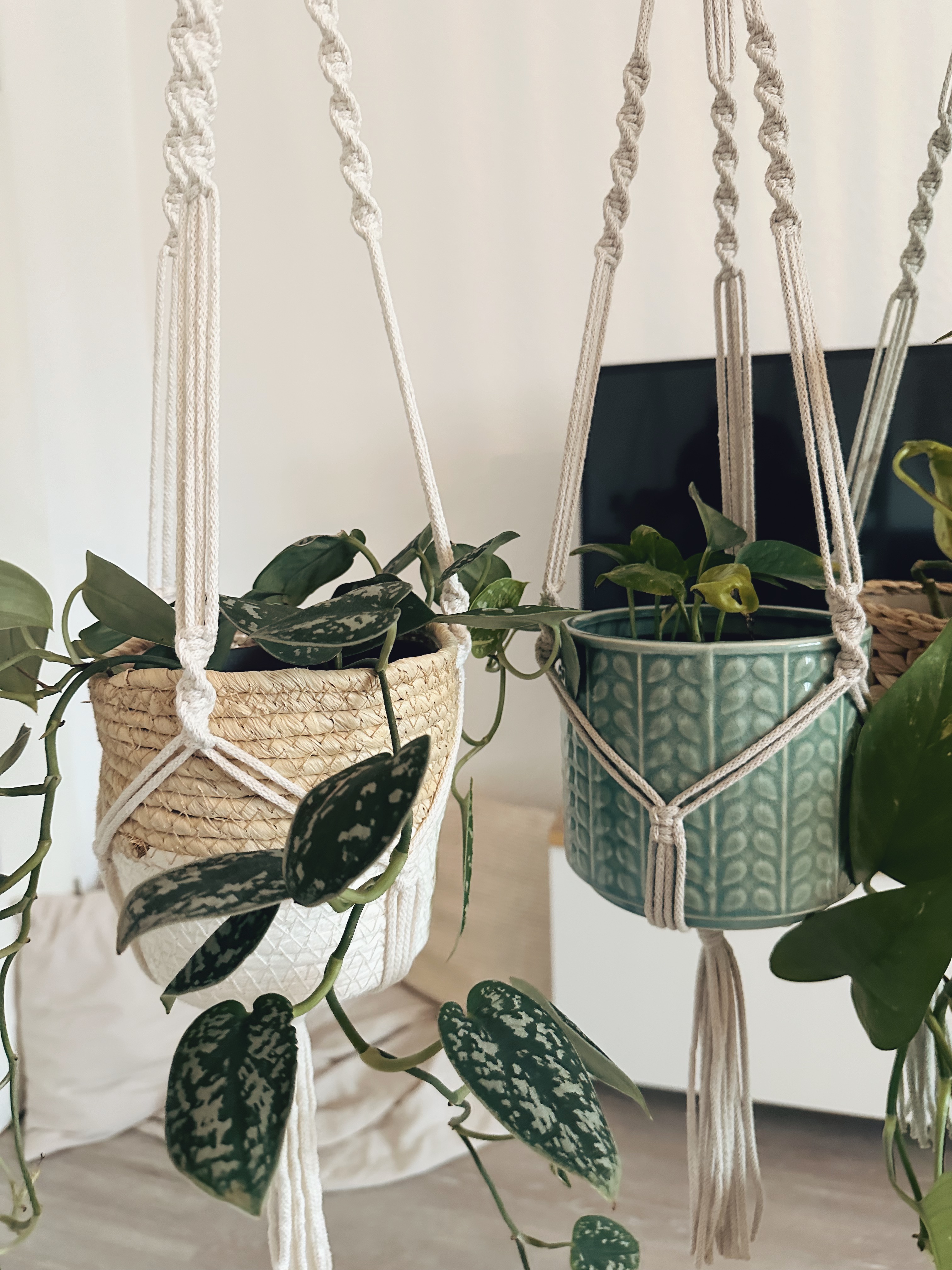 Anleitung Blumenampel