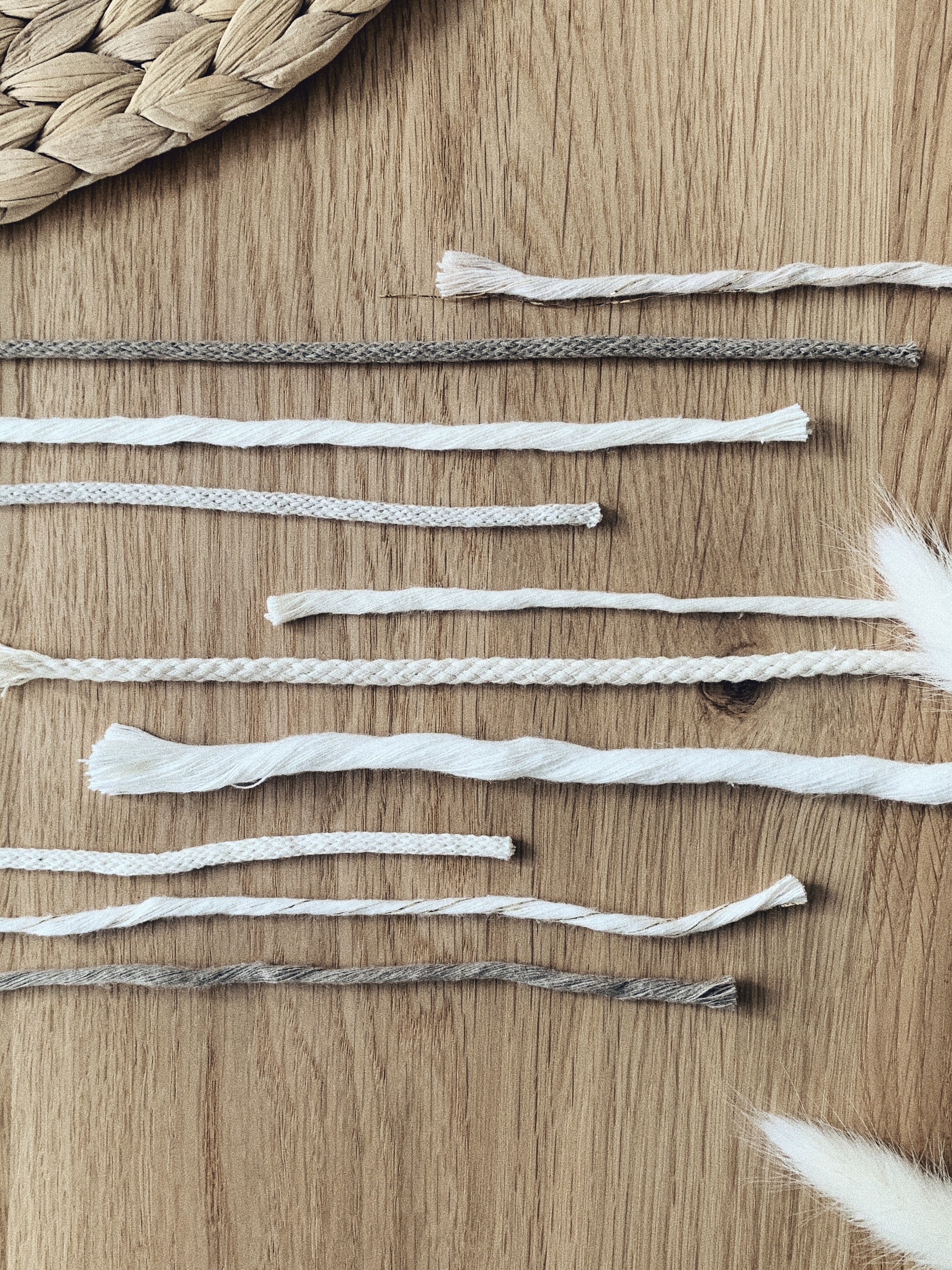 Anleitung Basics & Knoten