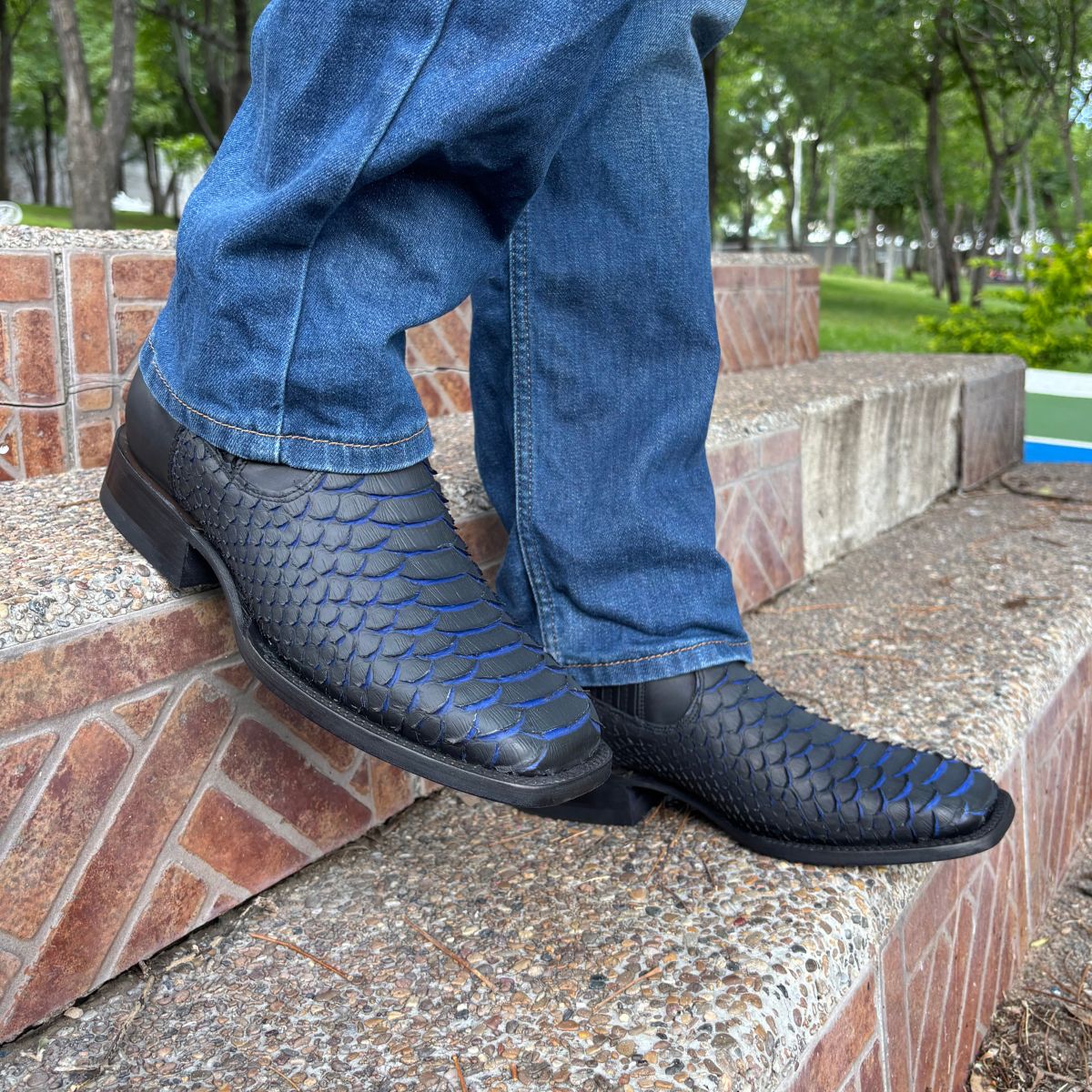 Botín Pitón Negro/Azul