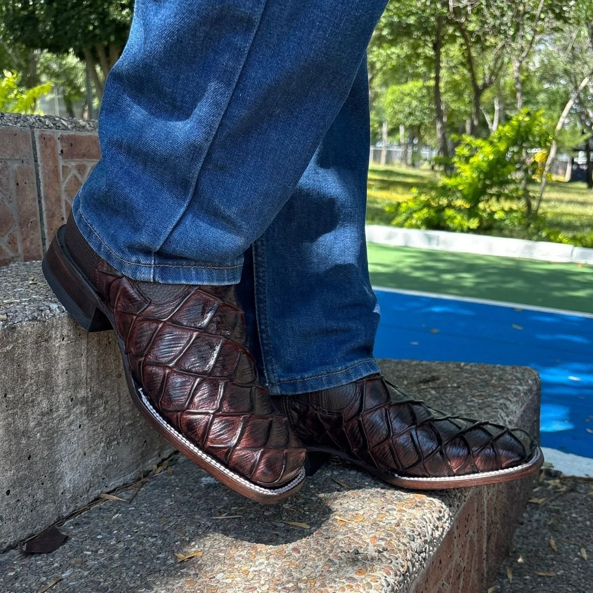 Botín Pirarucu Café