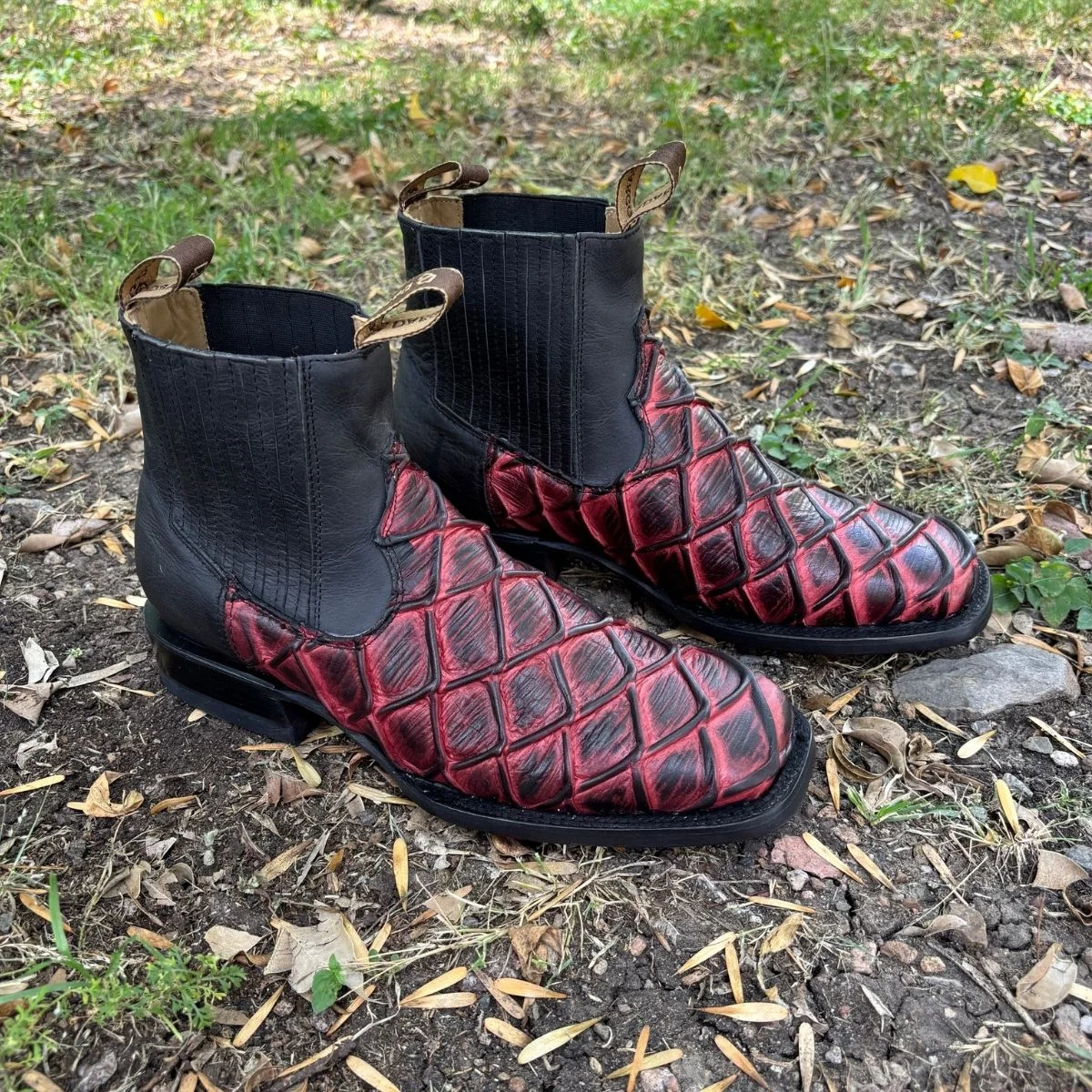 Botín Pirarucu Rojo Negro