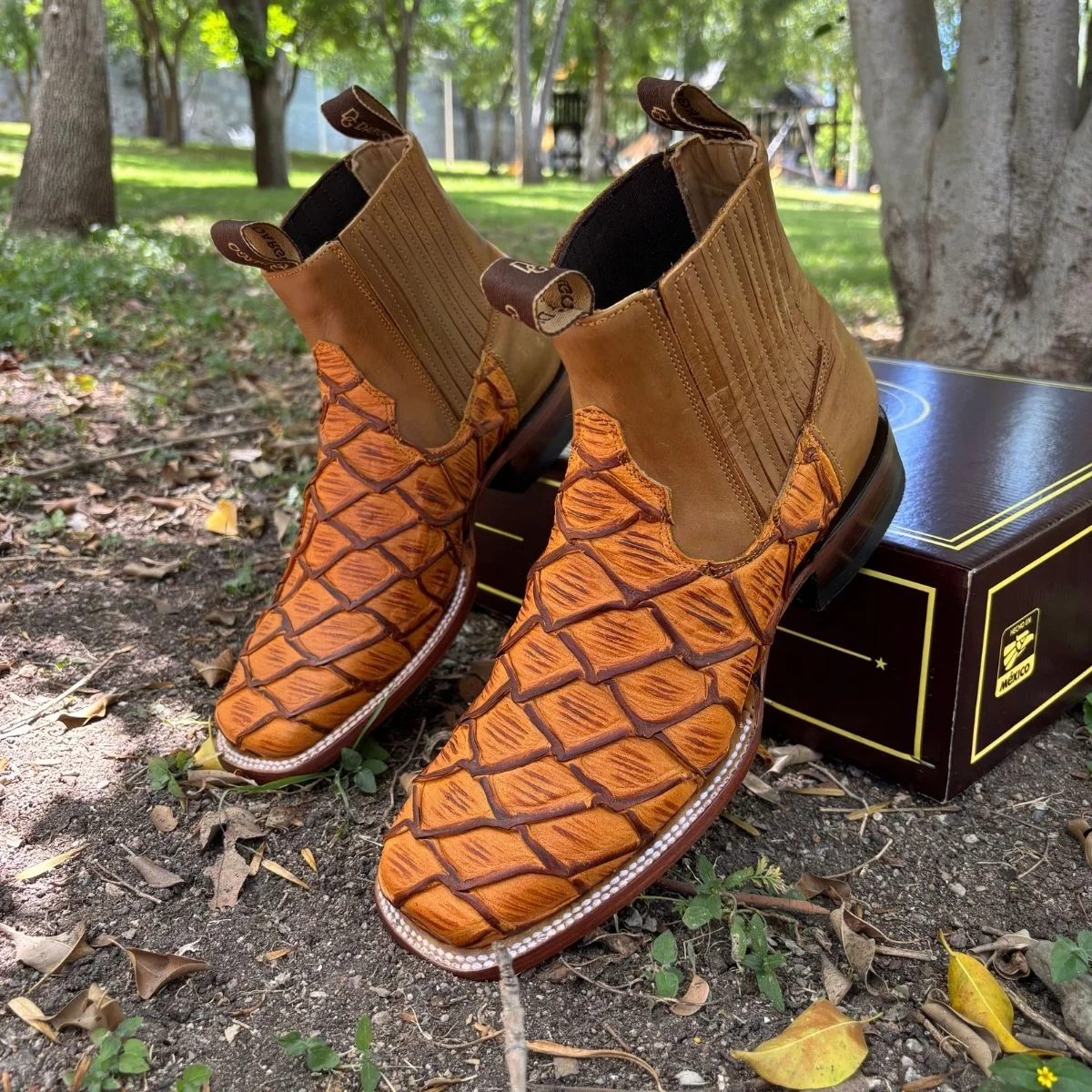 Botín Pirarucu Miel