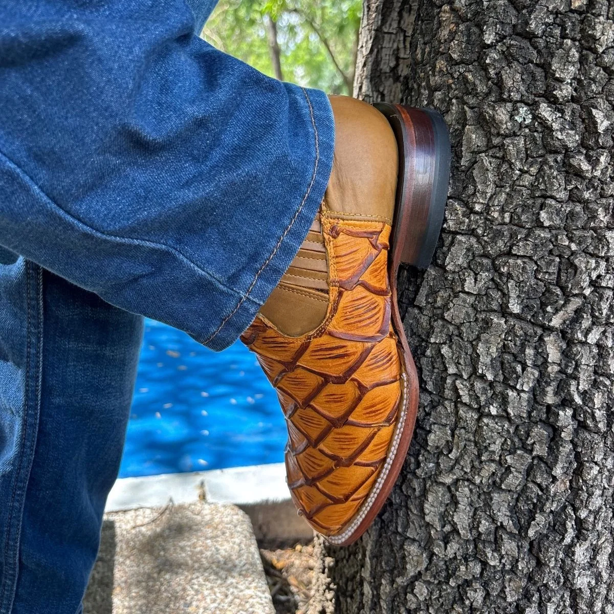 Botín Pirarucu Miel