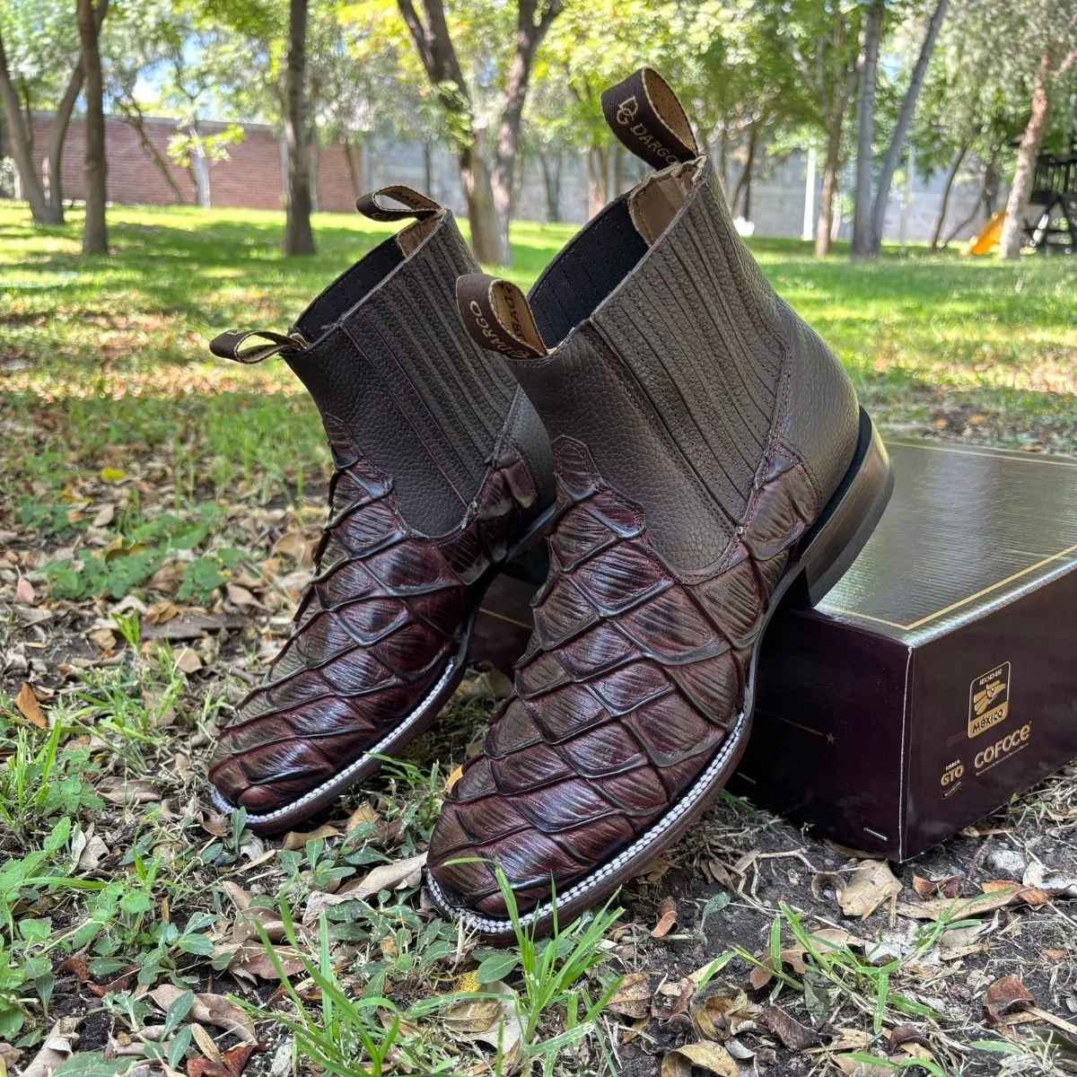 Botín Pirarucu Café