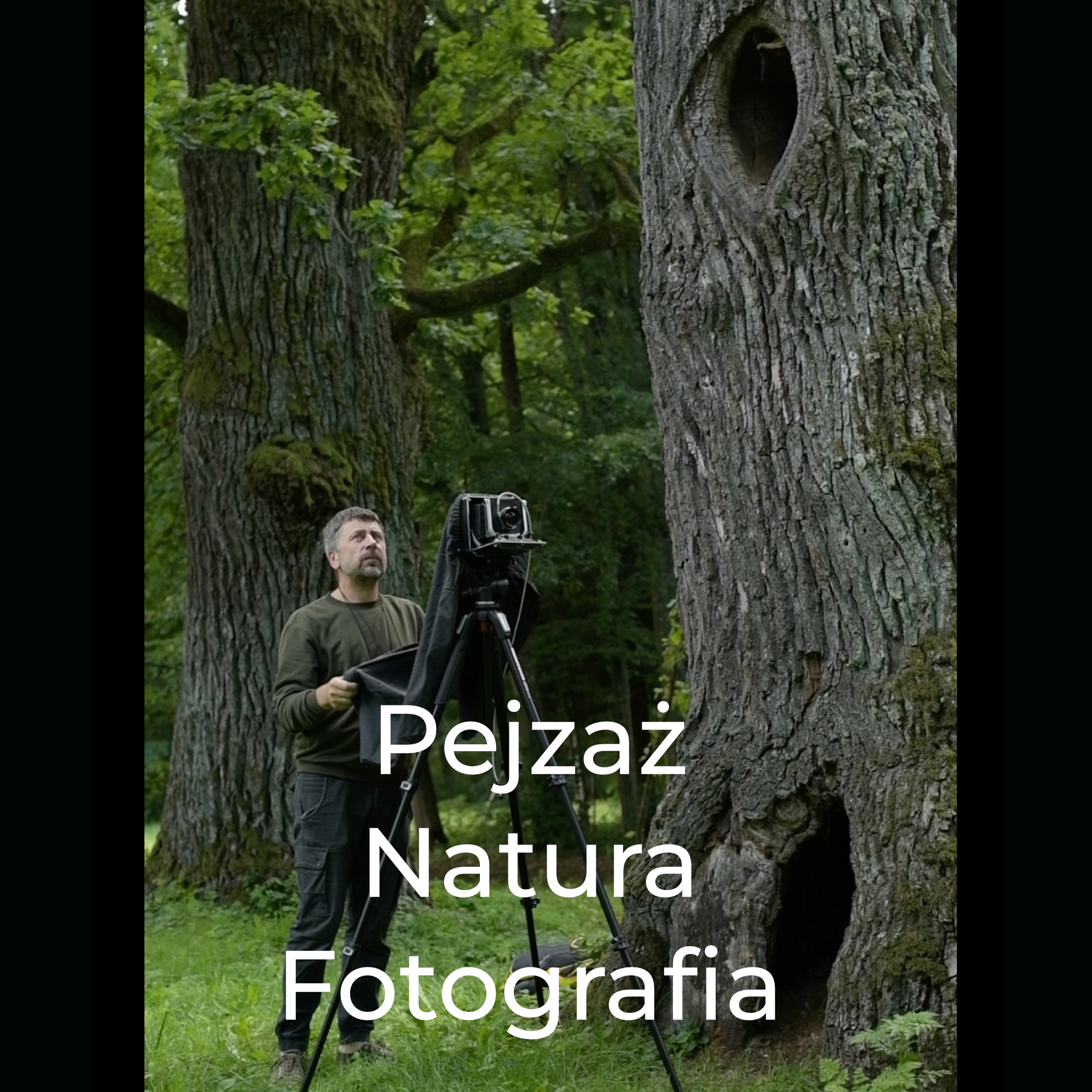 Pejzaż Natura Fotografia 19.04.2026 Białowieża