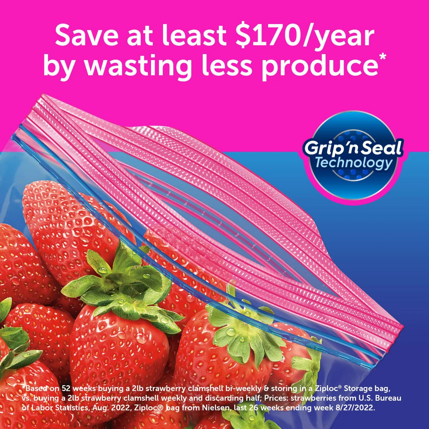 Ziploc Storage Gallon Bags