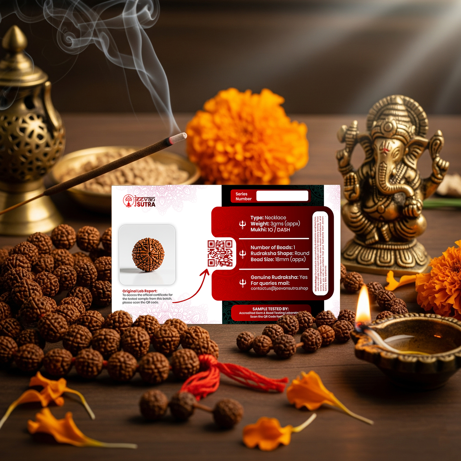 10 Mukhi Mantra Siddha Rudraksha - Lab Certified