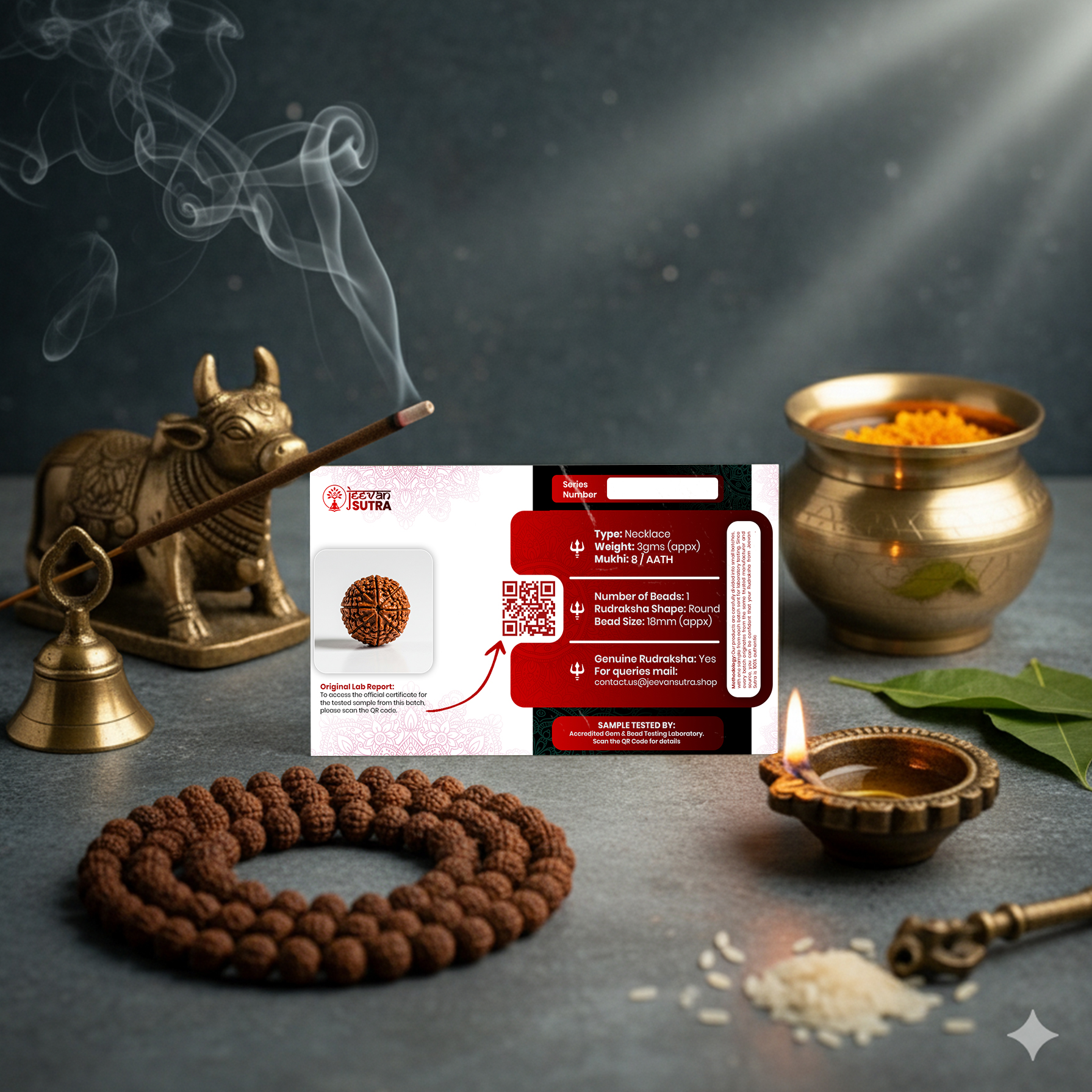 8 Mukhi Mantra Siddha Rudraksha (Free) - Lab Certified