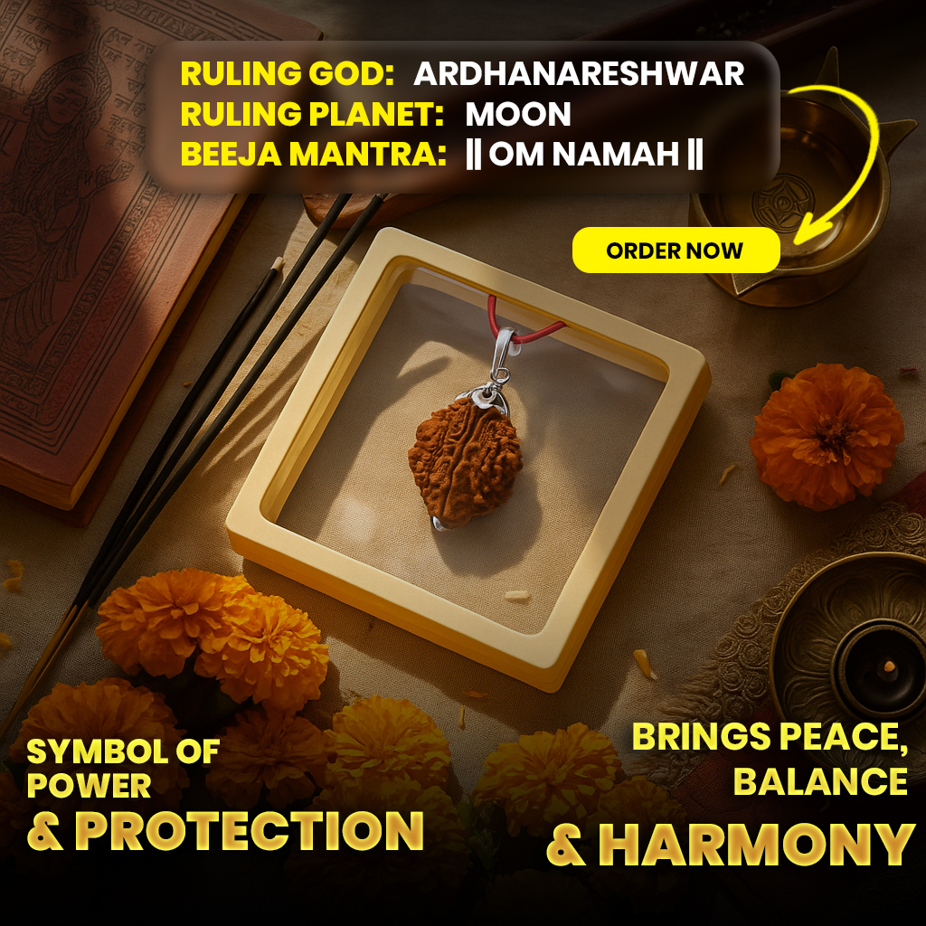 2 Mukhi Mantra Siddha Rudraksha - Lab Certified