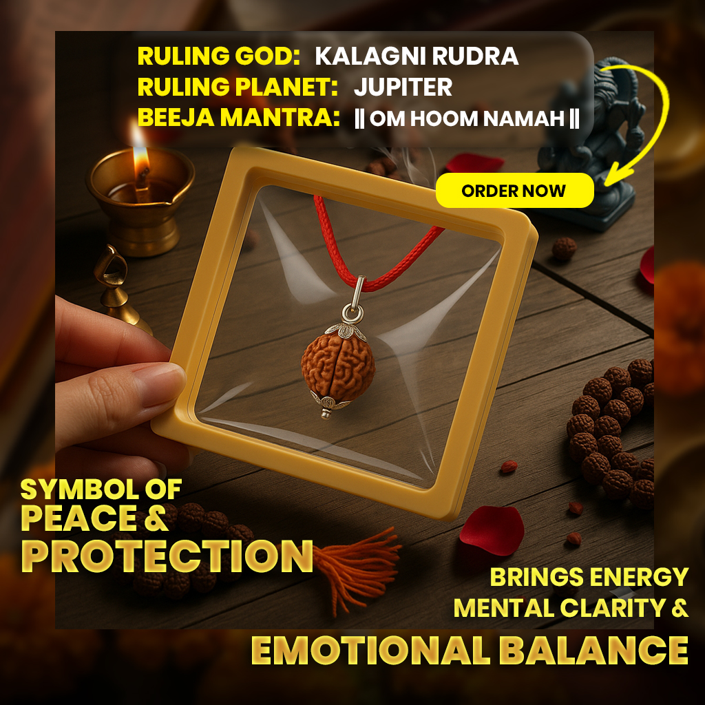 5 Mukhi Mantra Siddha Nepali Rudraksha (Free) - Lab Certified