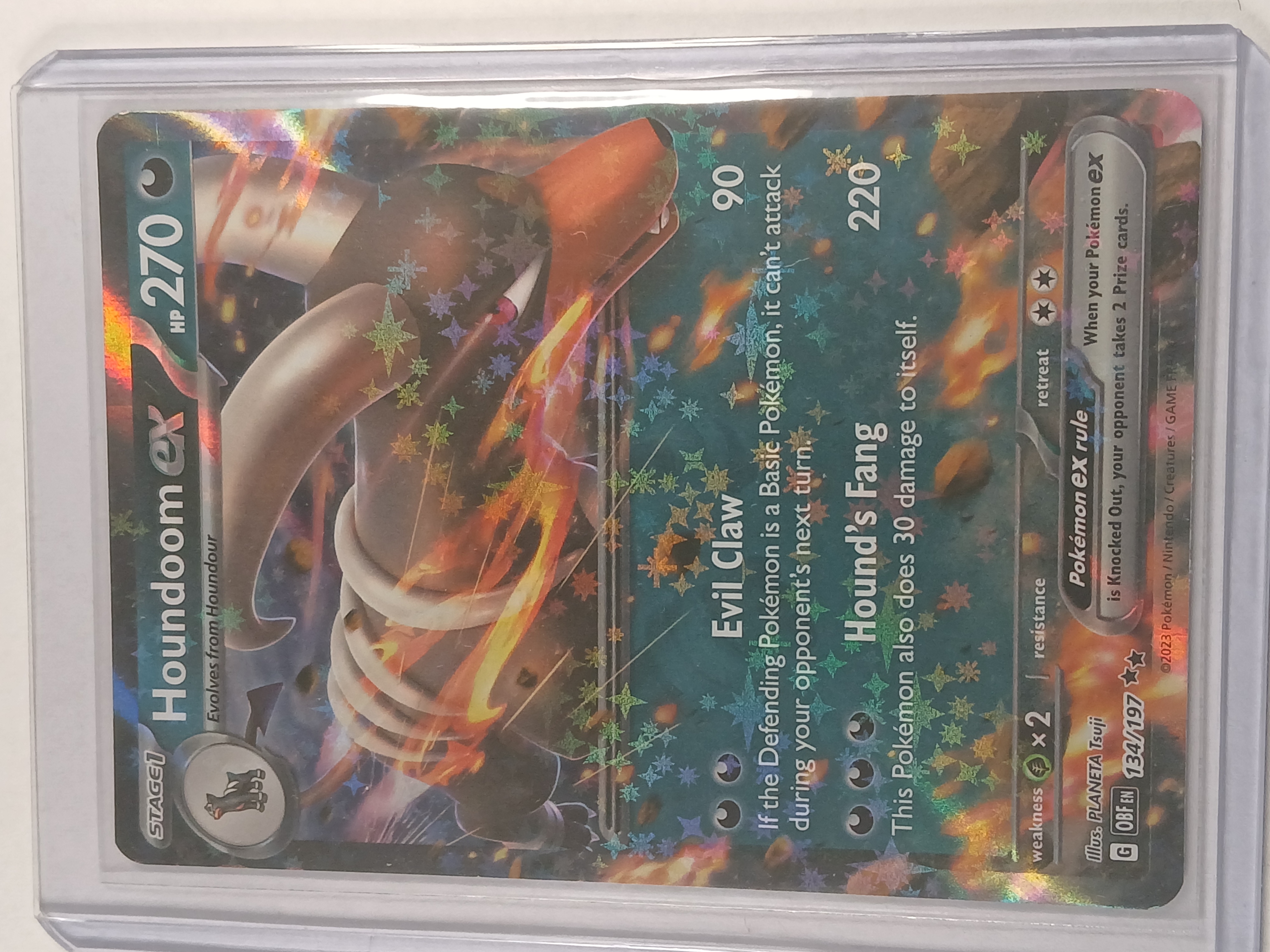 Houndoom Ex 134/197