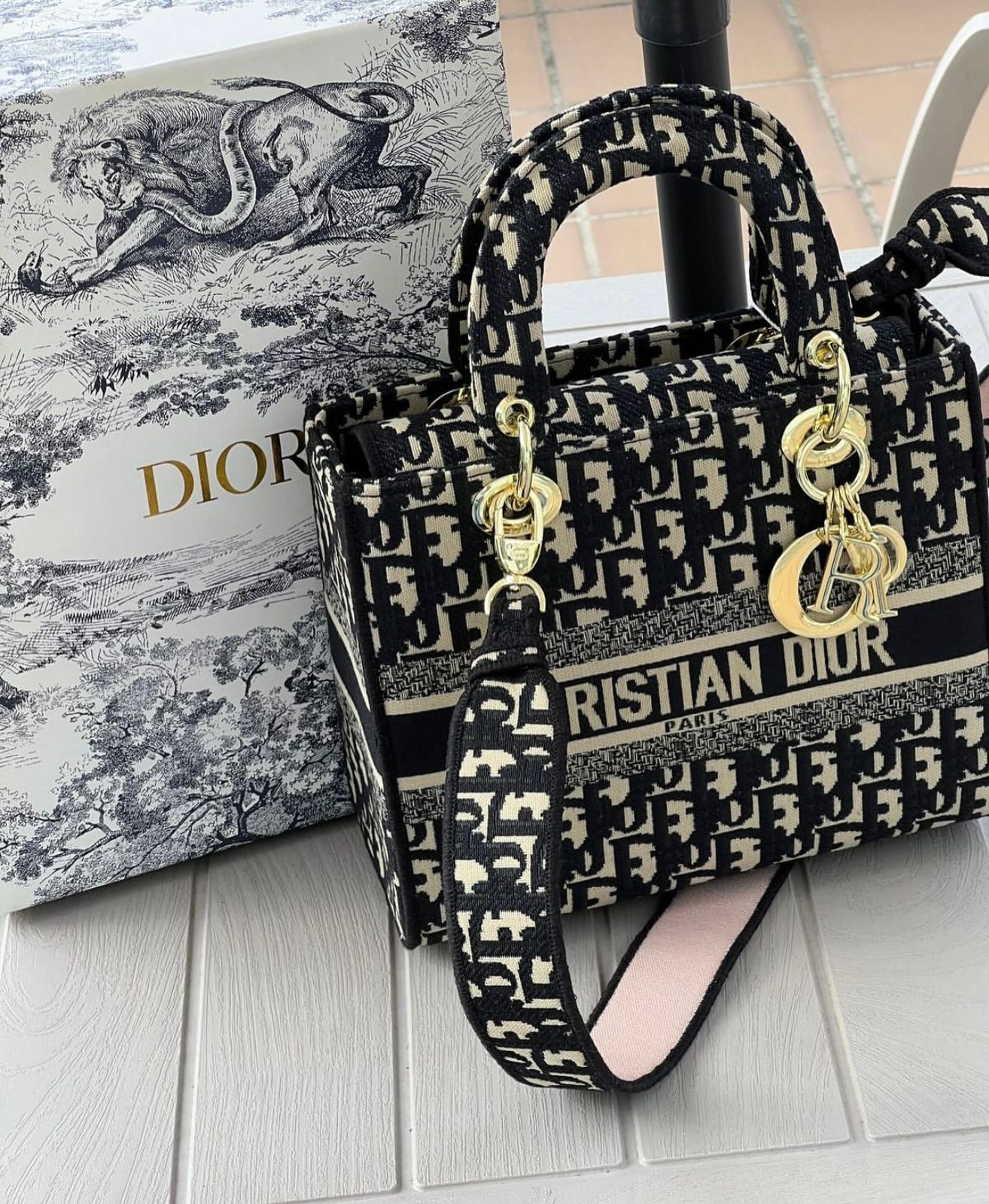 Christian Dior Mini Tote Bag
