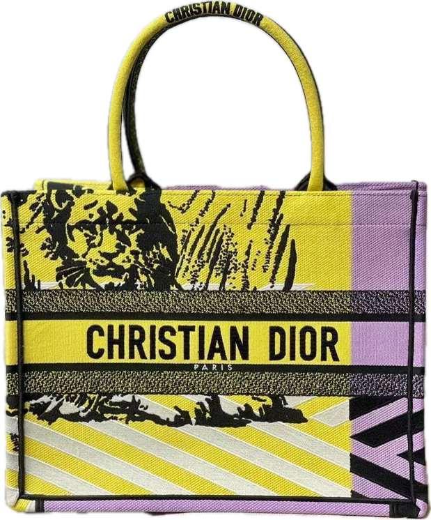 Christian Dior Tote Bag