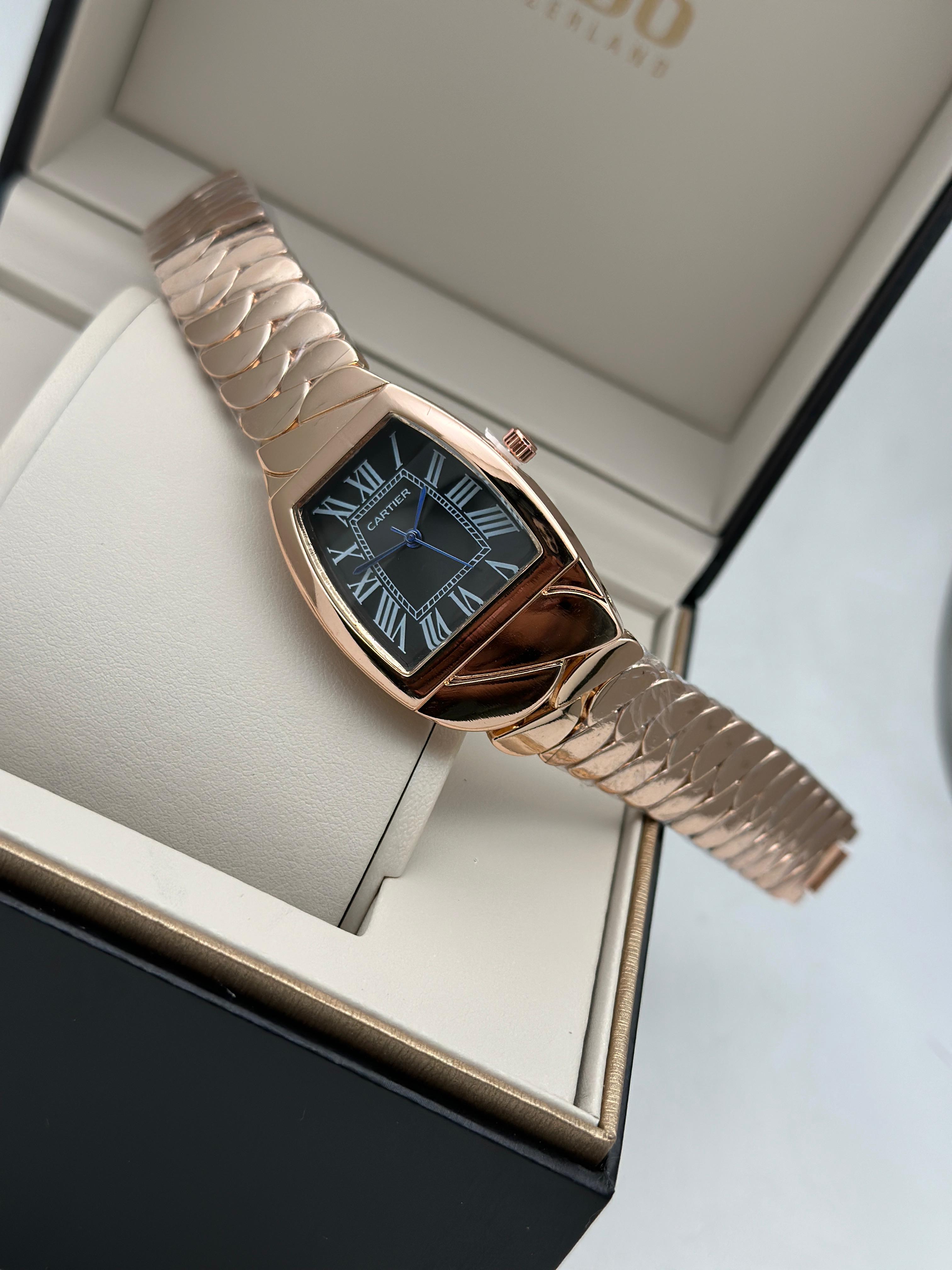Car tier  Stainless Steel Watch