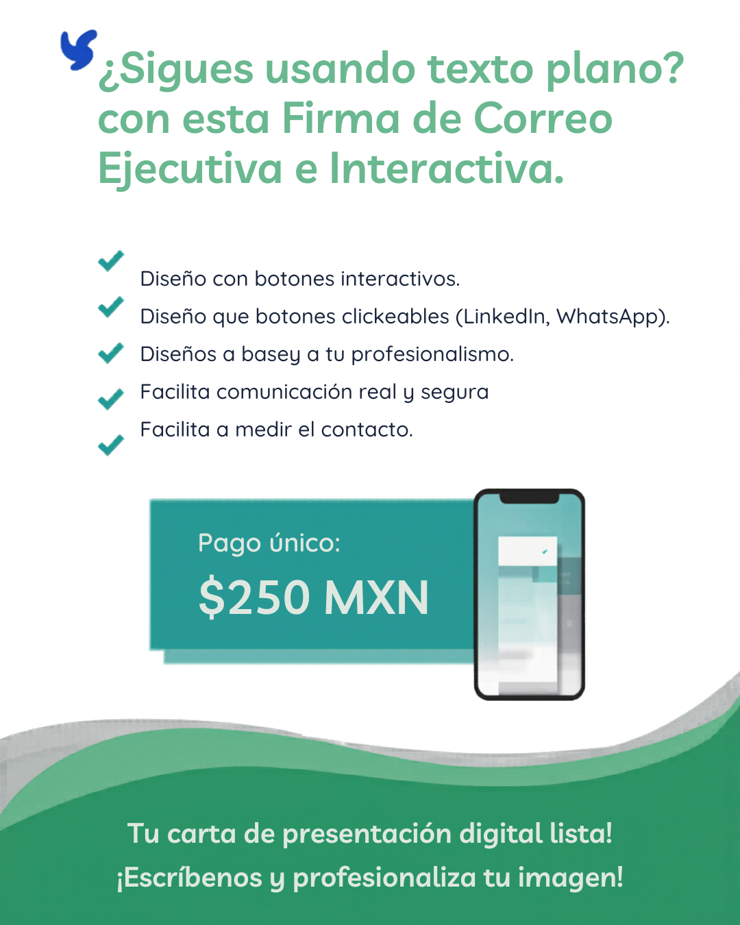 Firma de Correo Ejecutiva e Interactiva