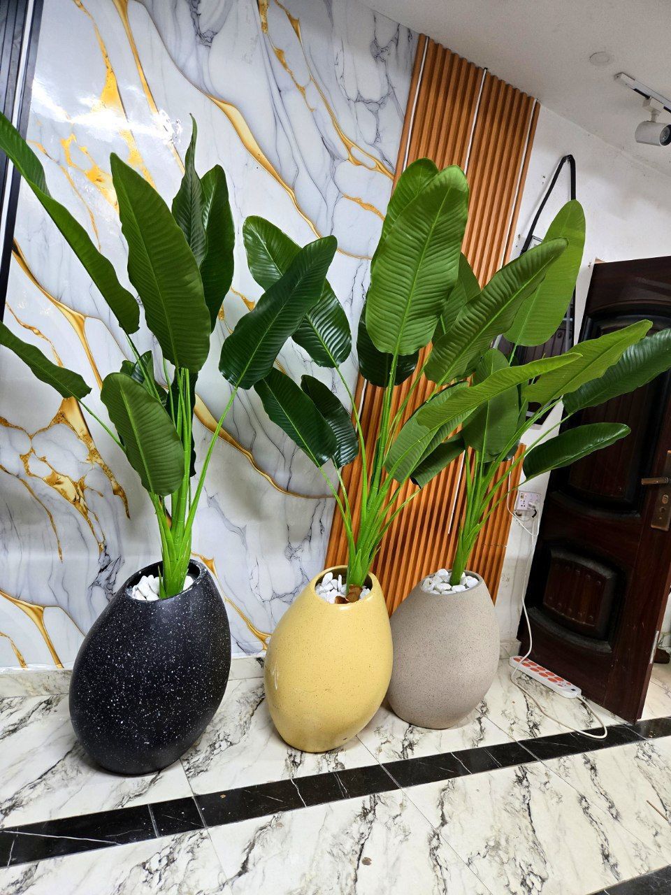 Decorative Indoor Plant with Modern Pot