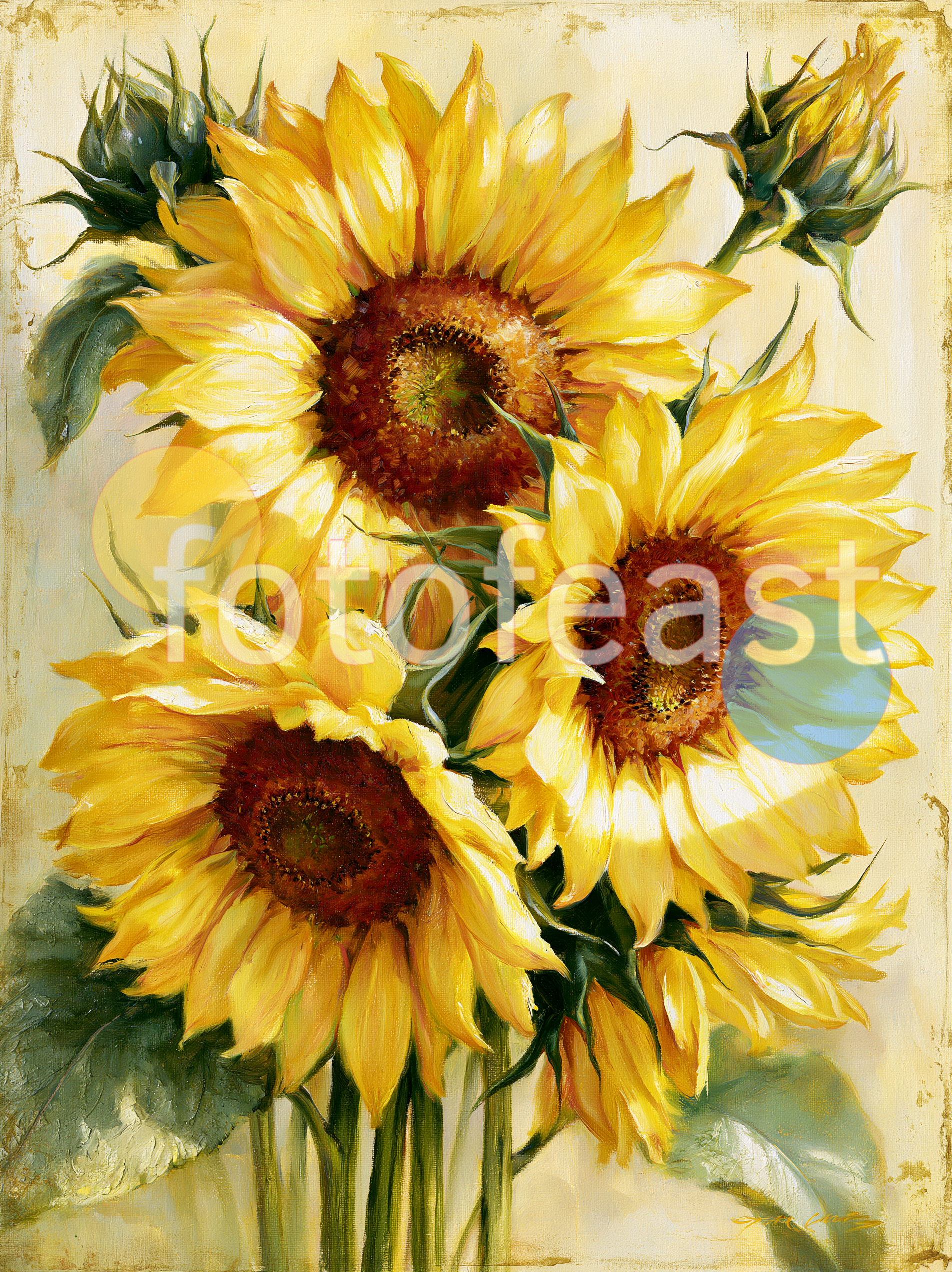 botanical sunflower