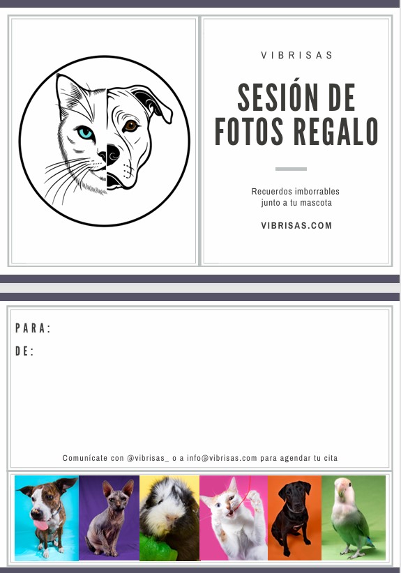 Tarjeta de regalo