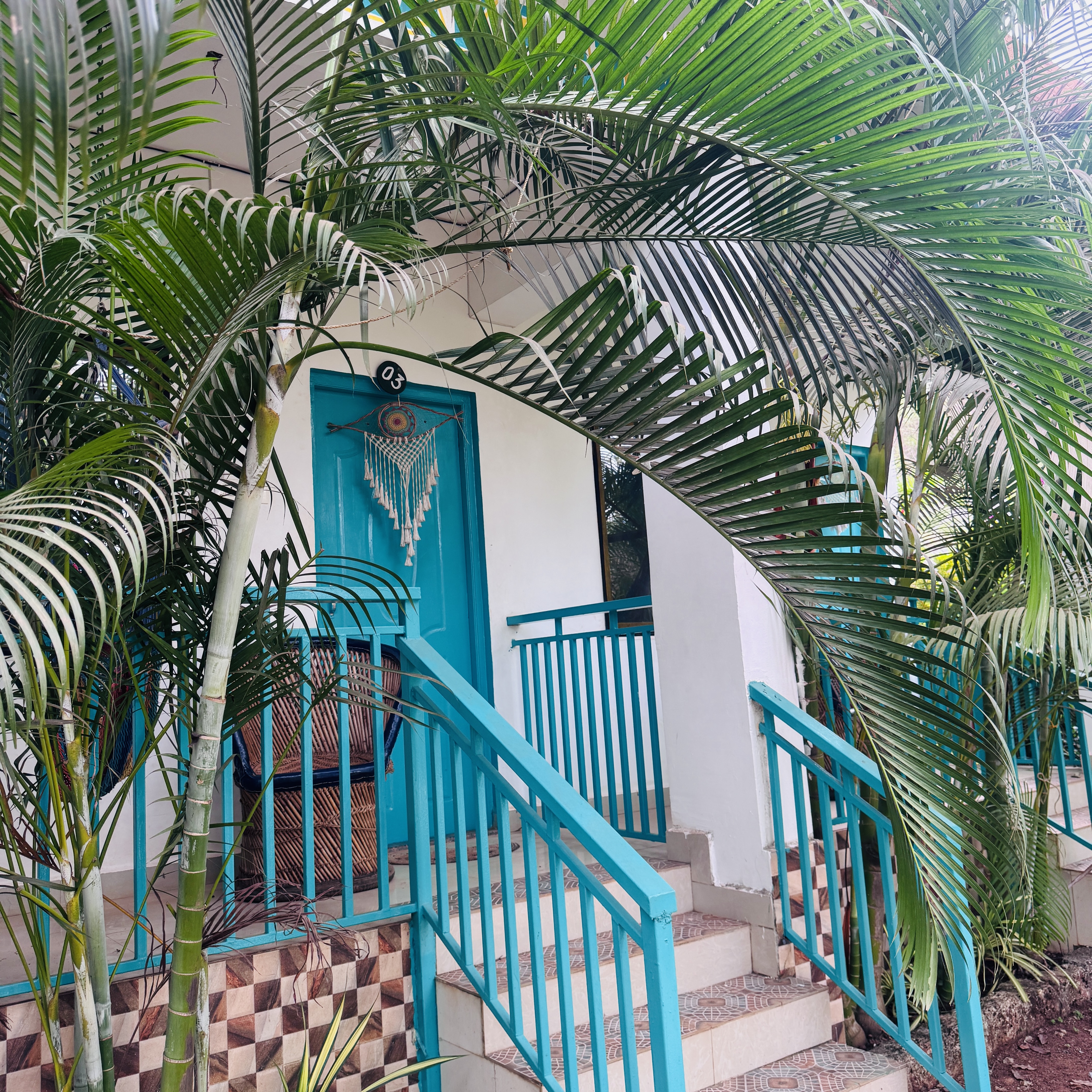 Only Accomodation