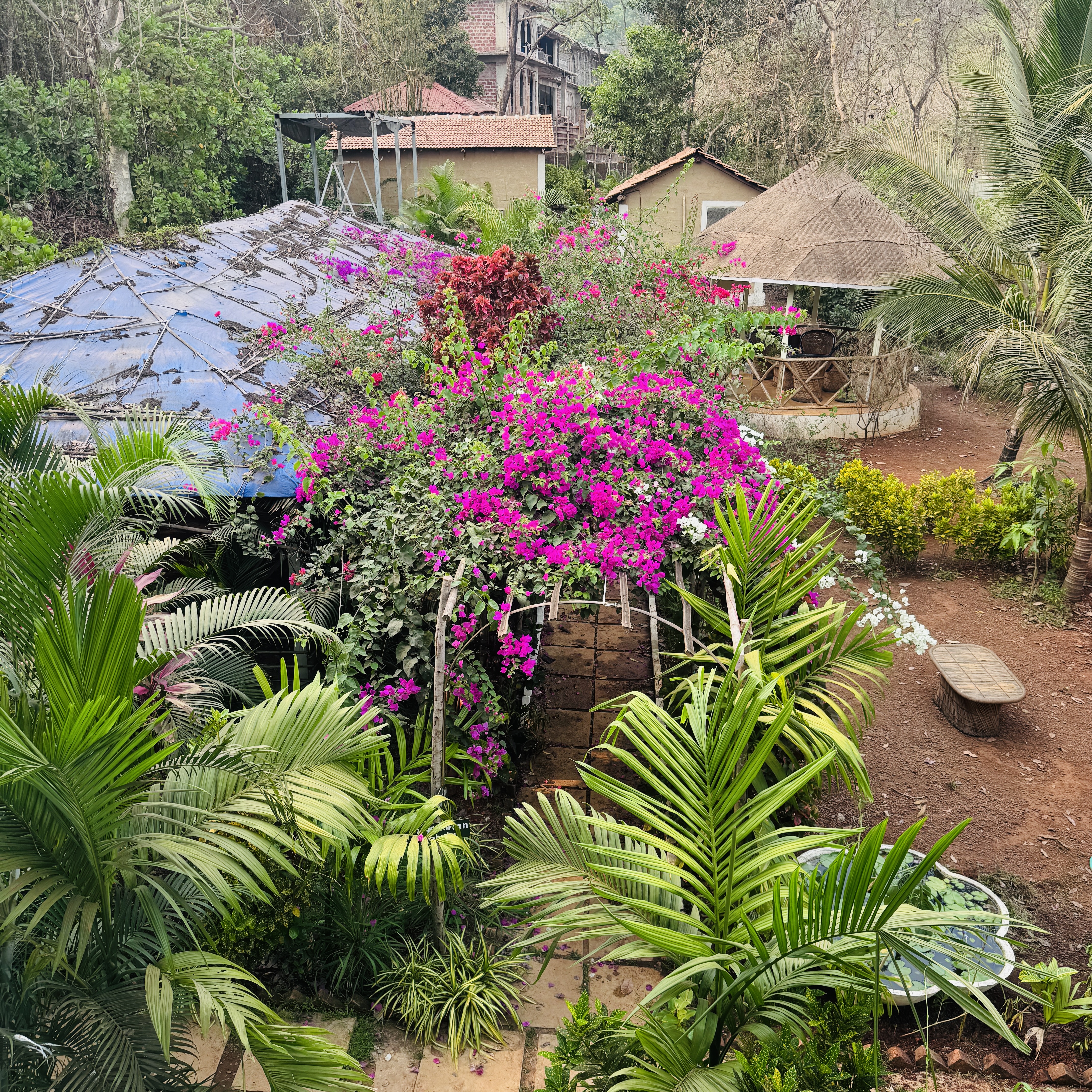 6 days yoga retreat