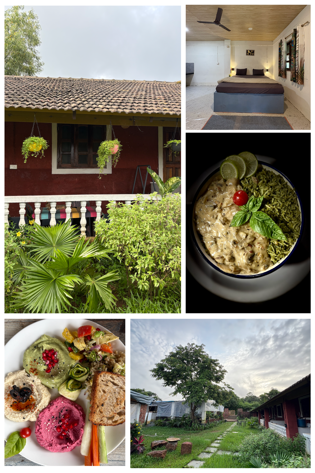 6 days yoga therapy