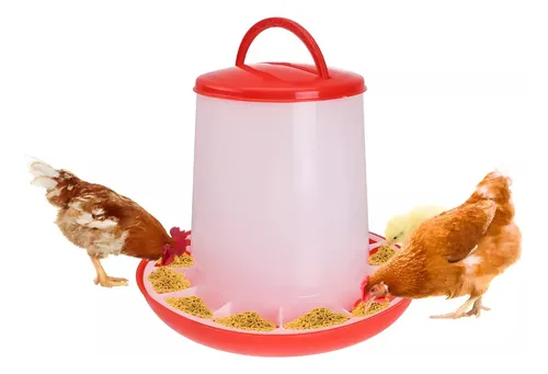 Comedero de gallina