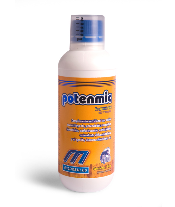 Potemic