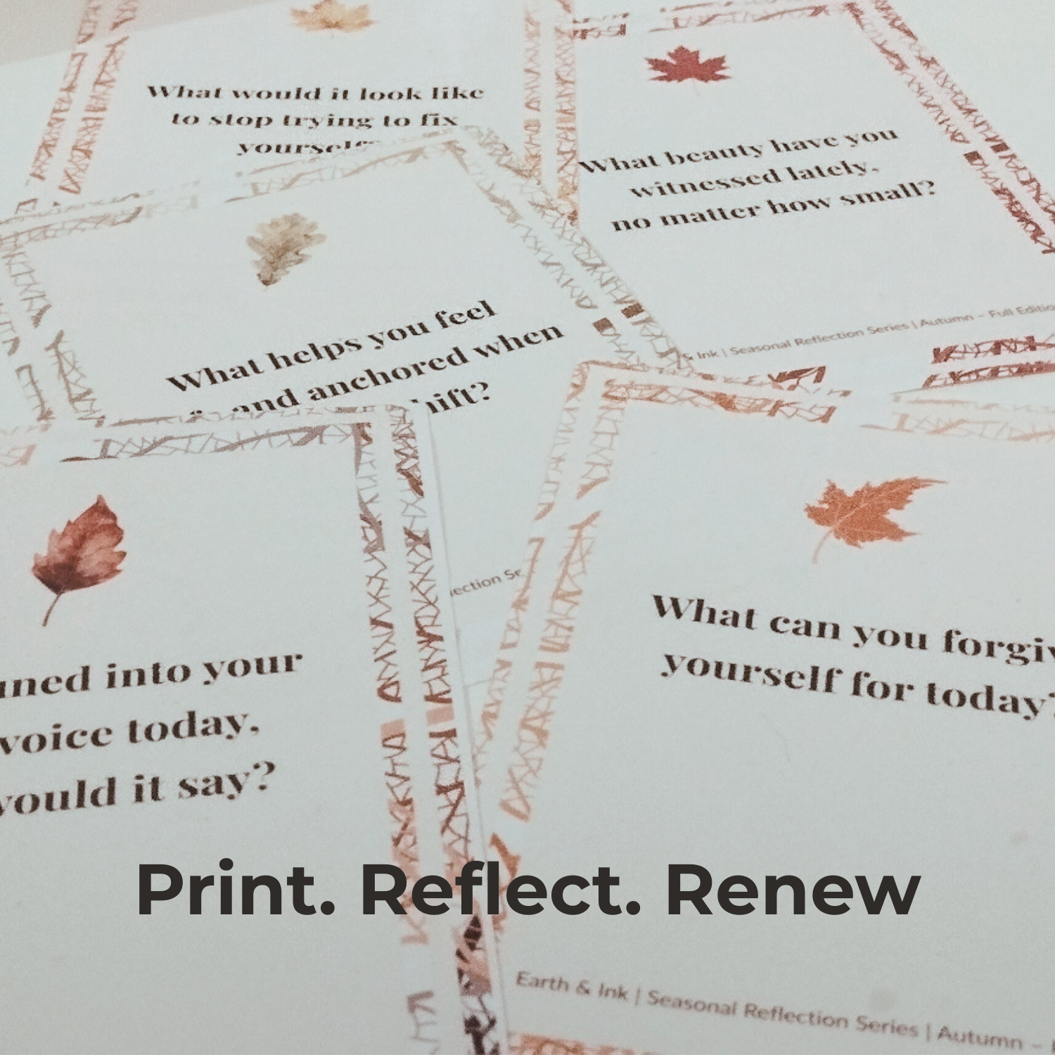 ✨ Seasonal Reflection Cards – Autumn Edition: Harvesting the Good