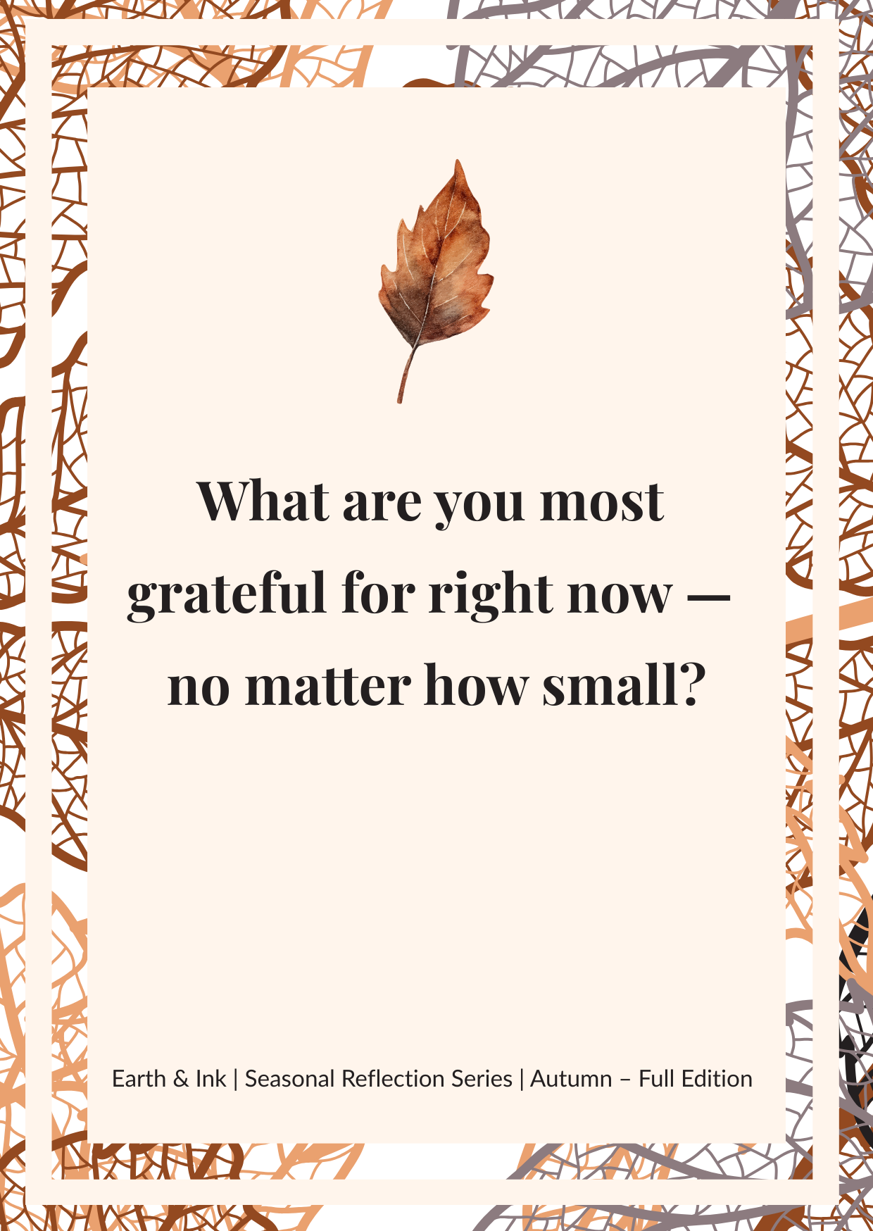 ✨ Seasonal Reflection Cards – Autumn Edition: Harvesting the Good