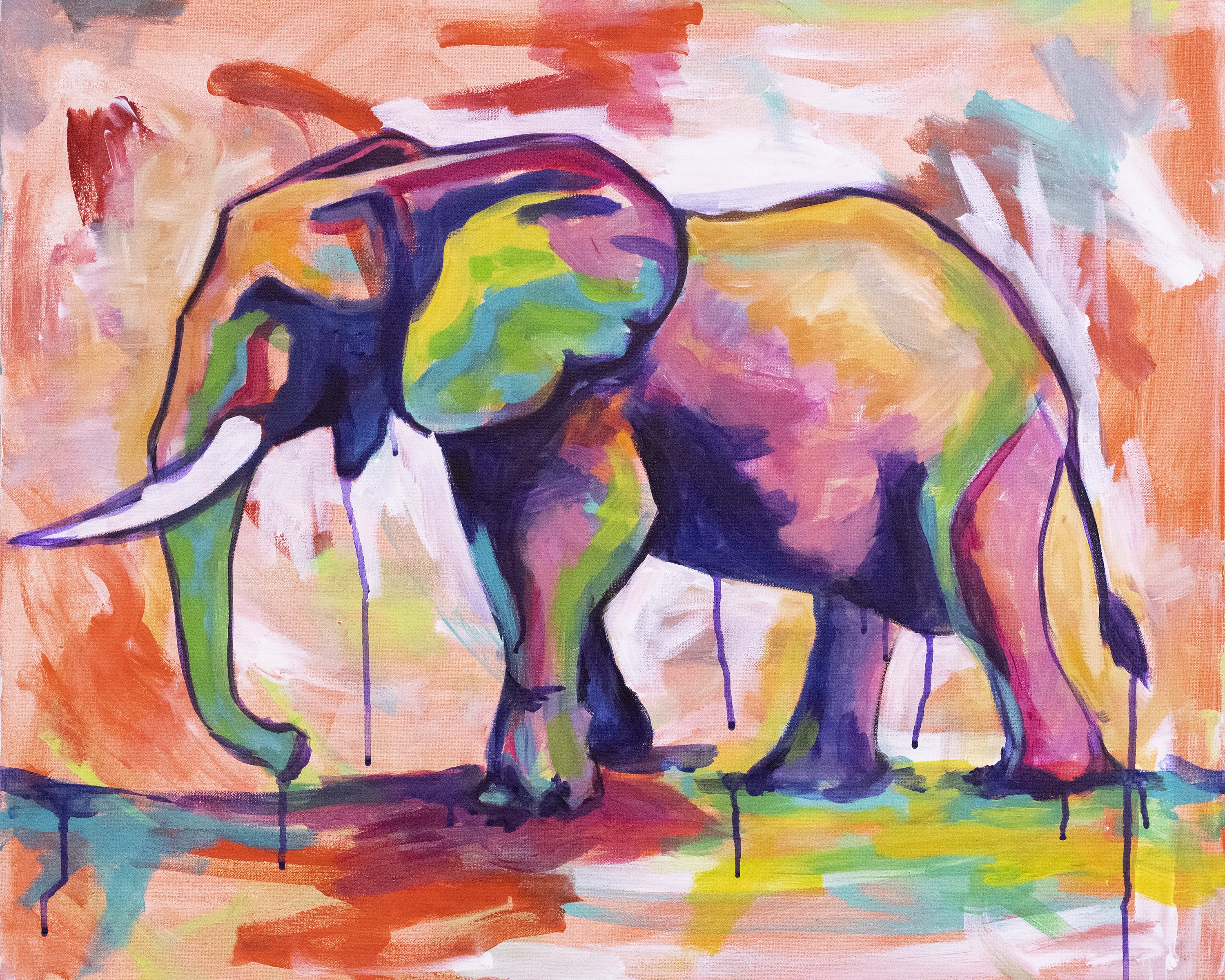 Elephant