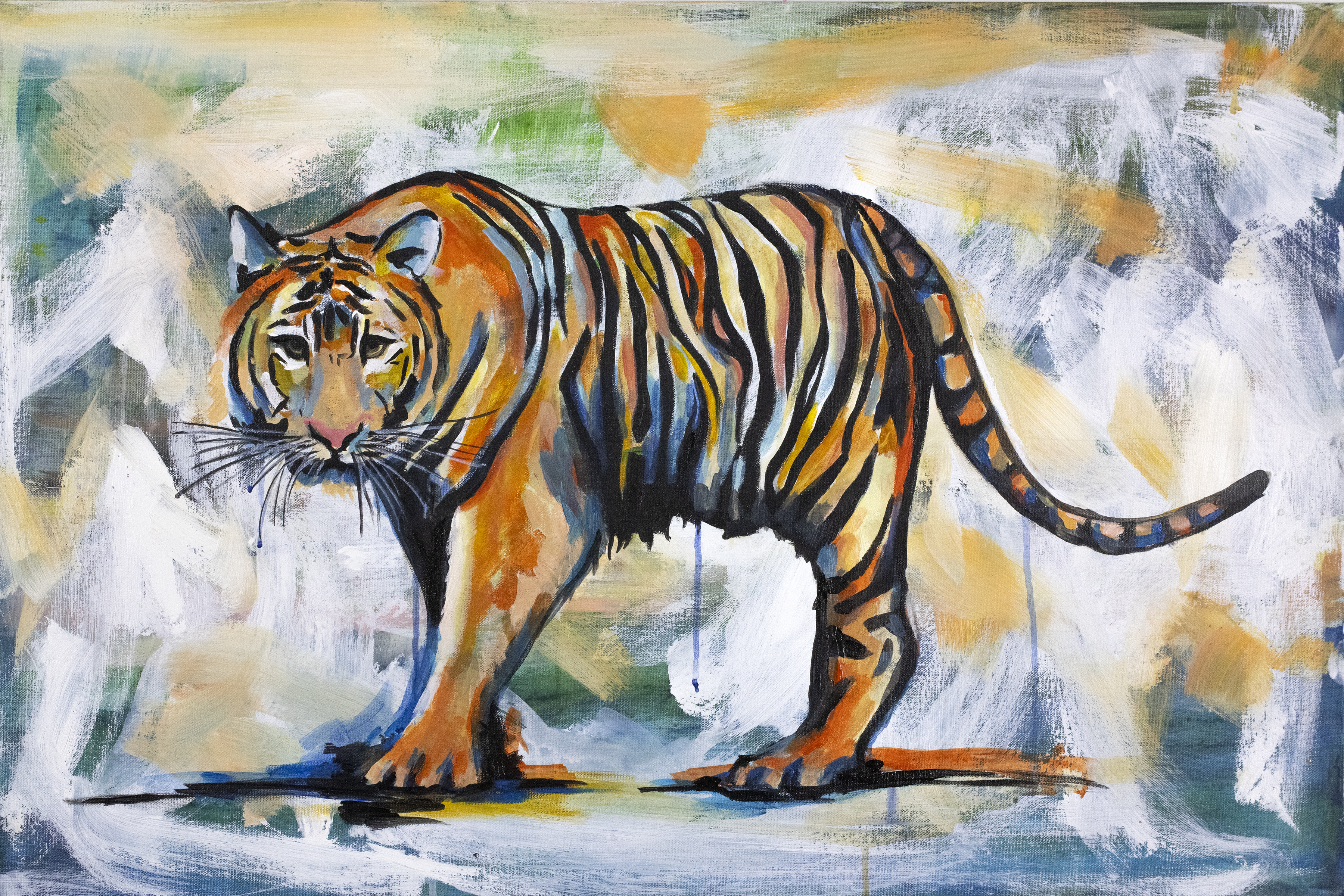 Tiger