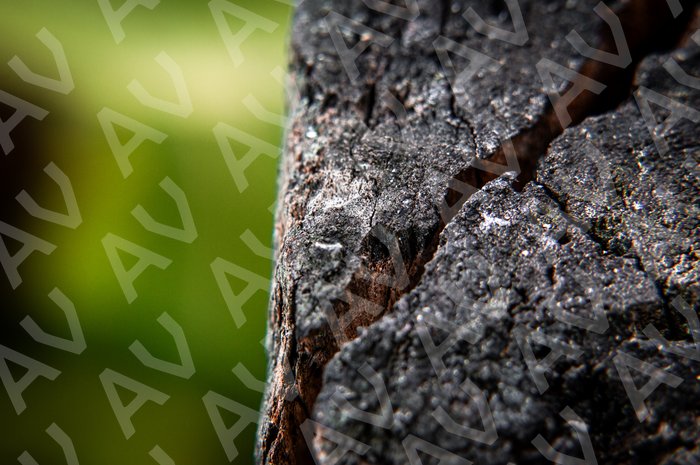 Charred Wood