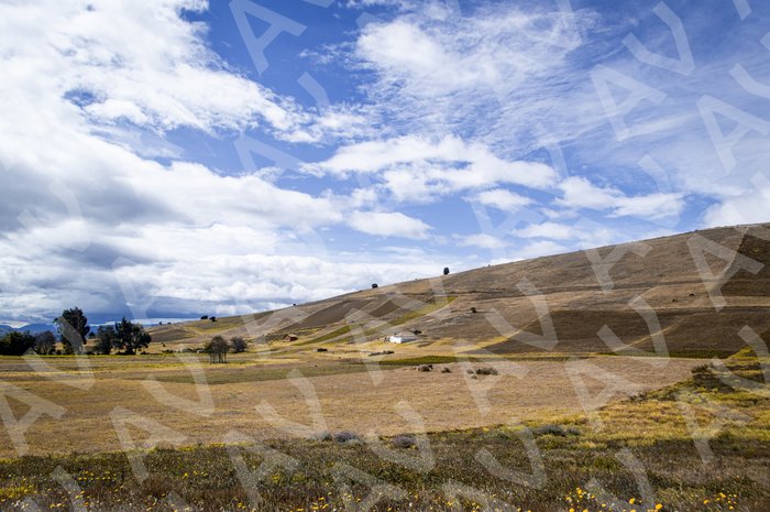 Boyacá Landscape