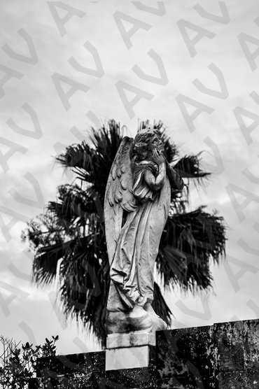 Angel Statue B&W
